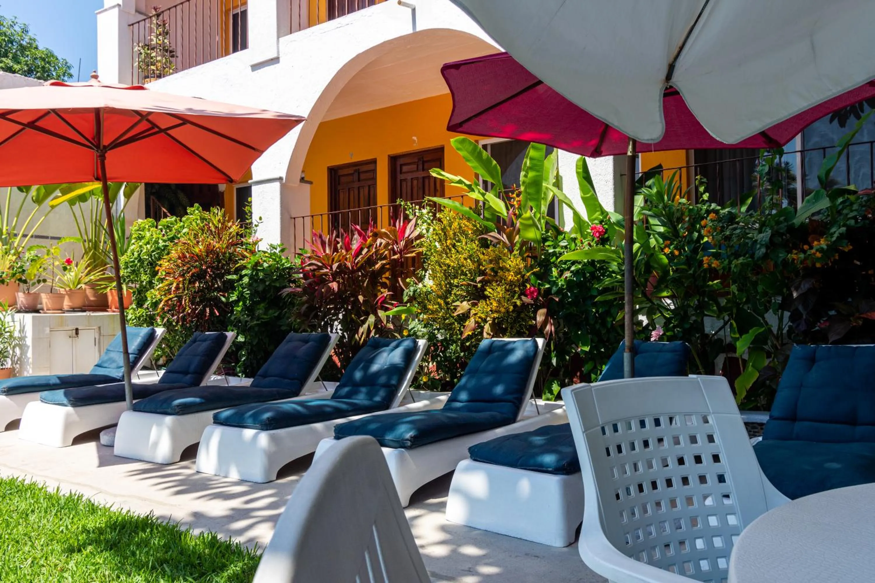 Area and facilities in Hotel Delfin