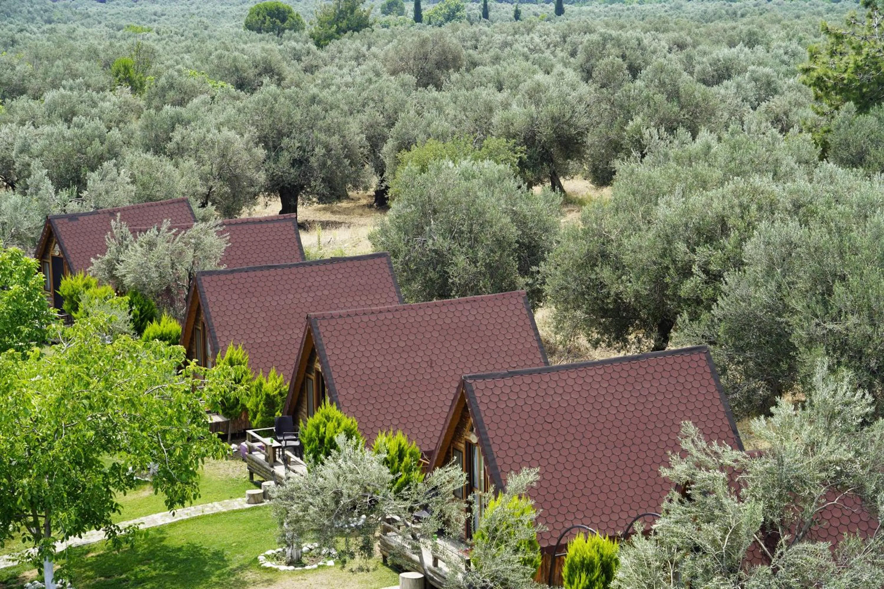 Property building in Kazdaglari Ida Natura Bungalov Hotel