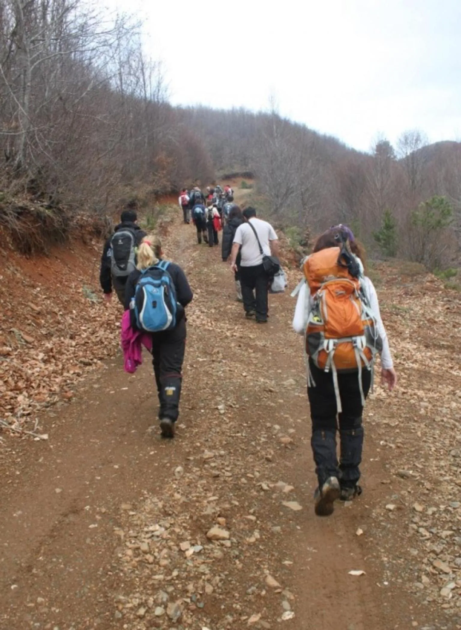 Activities in Kazdaglari Ida Natura Bungalov Hotel