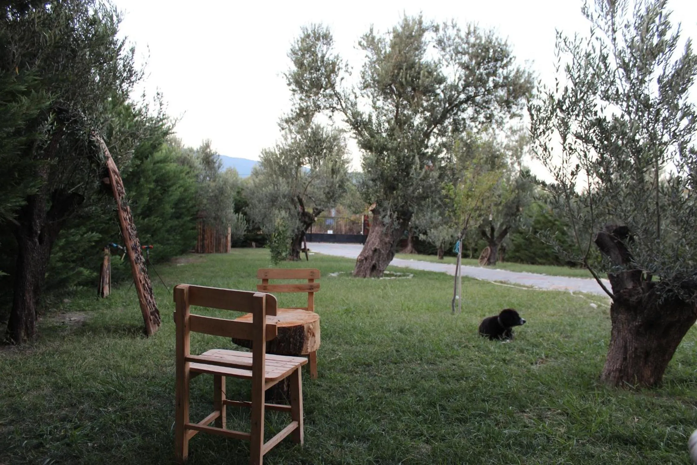 Garden in Kazdaglari Ida Natura Bungalov Hotel