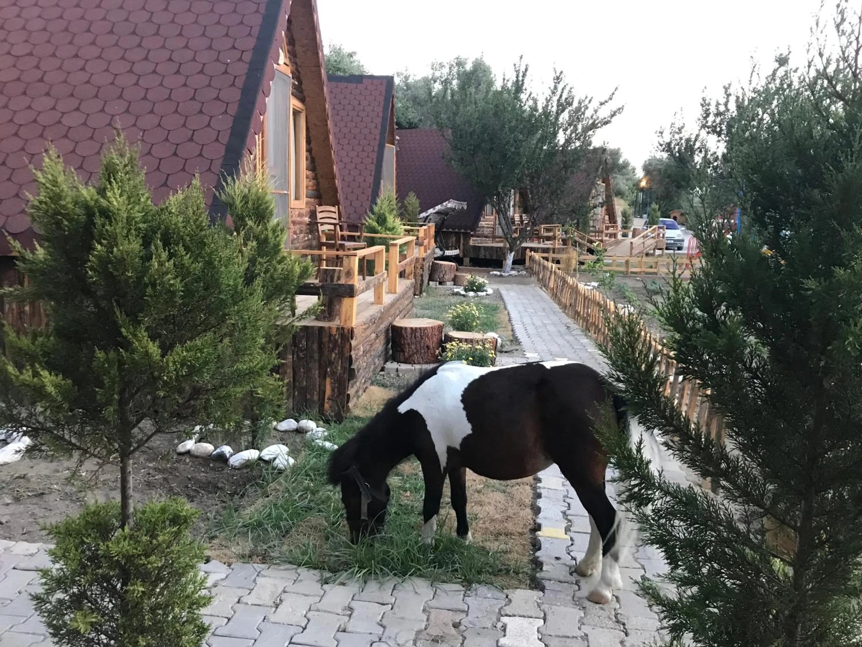 Horse-riding in Kazdaglari Ida Natura Bungalov Hotel