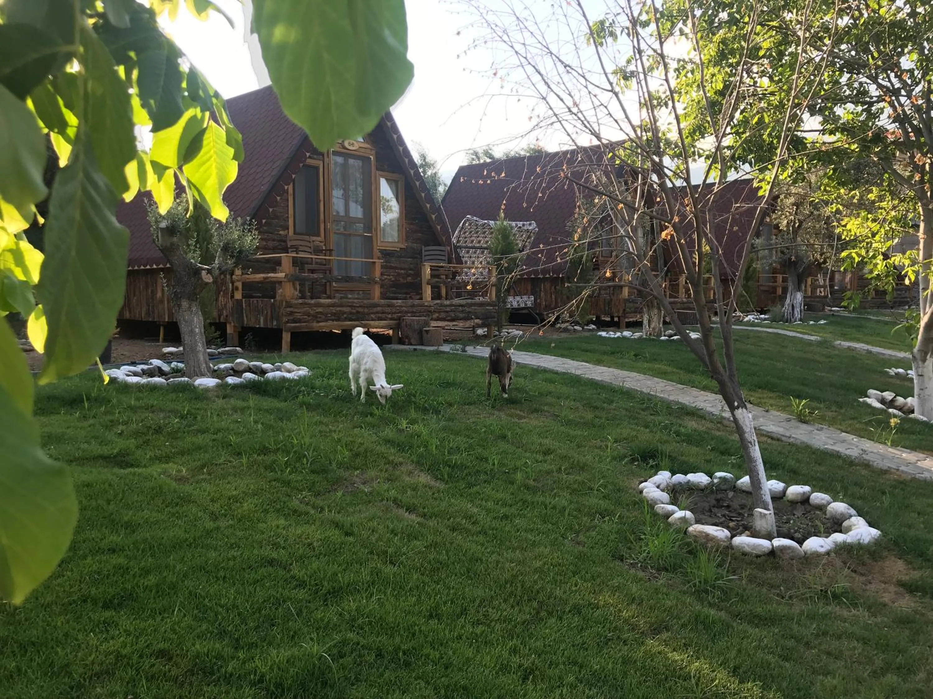 Day in Kazdaglari Ida Natura Bungalov Hotel