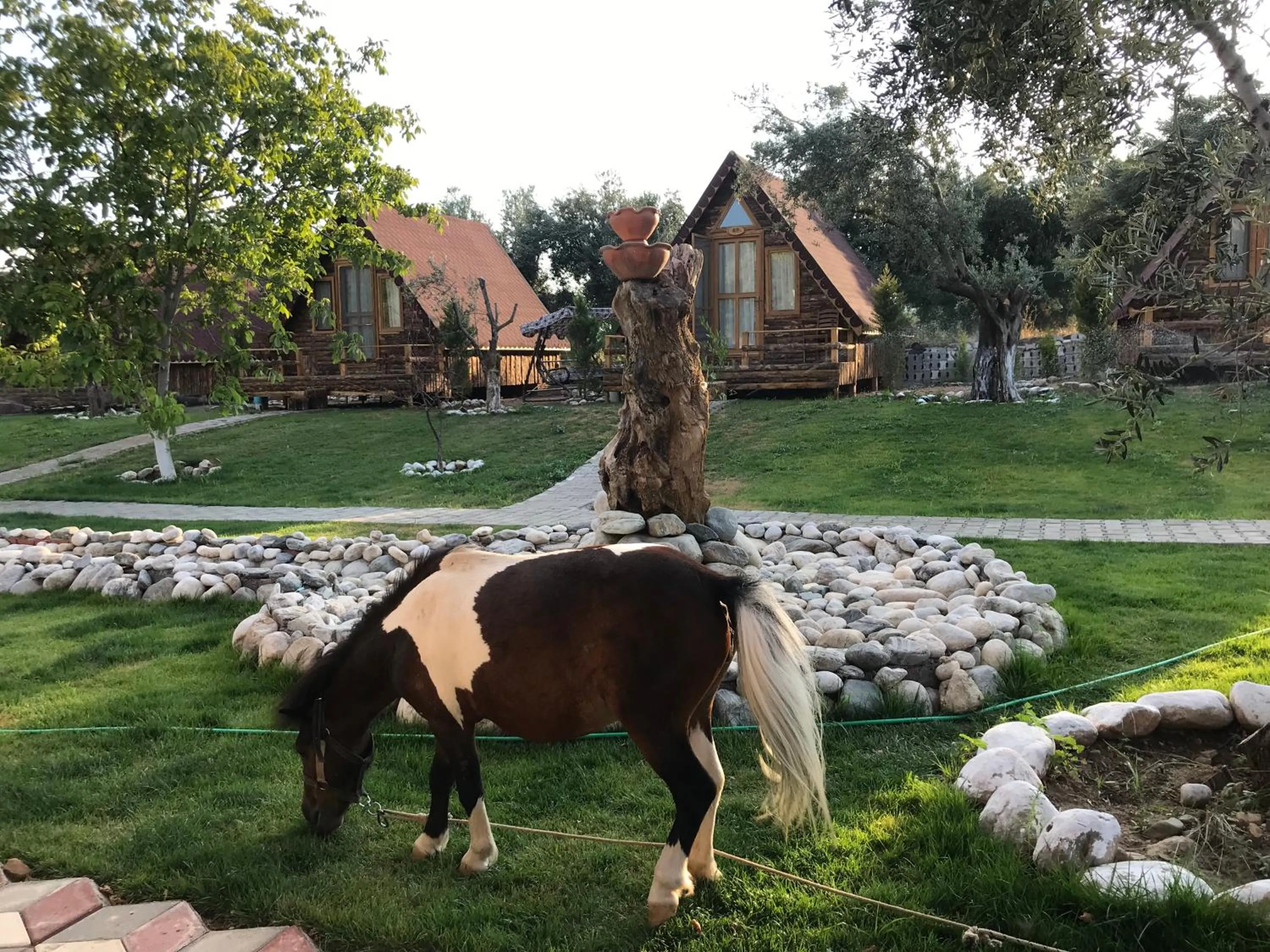 Garden in Kazdaglari Ida Natura Bungalov Hotel