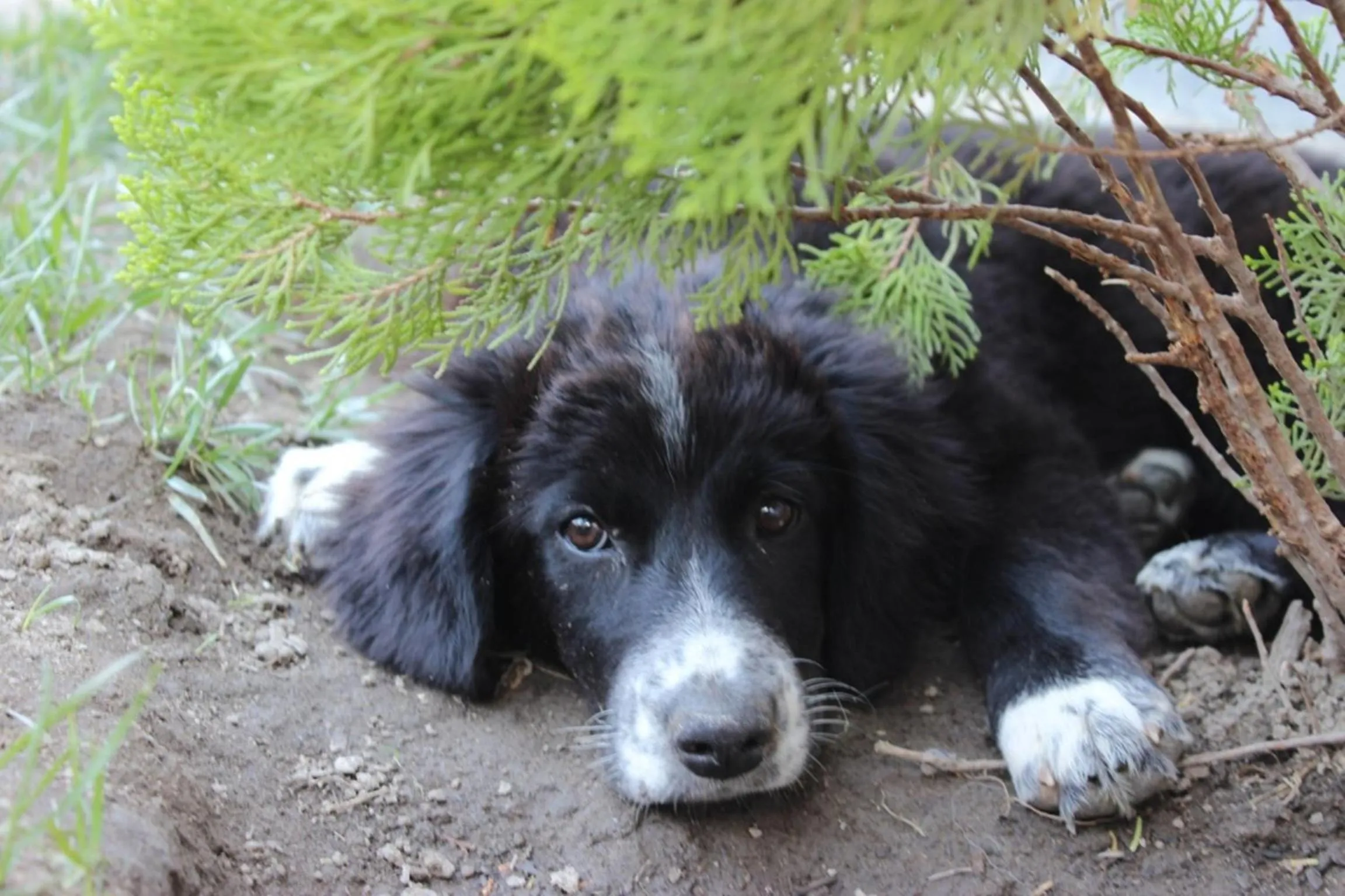 Decorative detail in Kazdaglari Ida Natura Bungalov Hotel