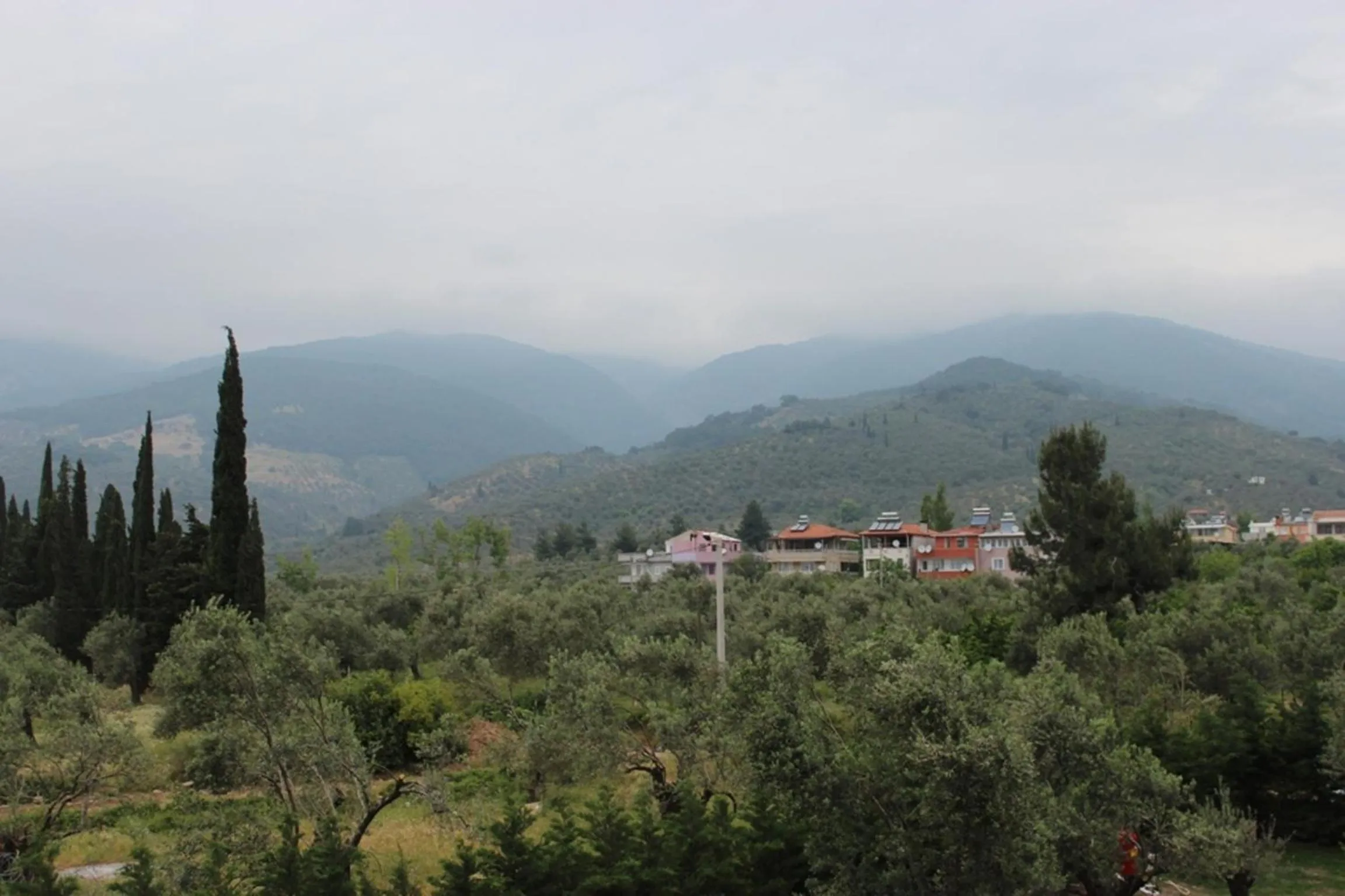 View (from property/room) in Kazdaglari Ida Natura Bungalov Hotel