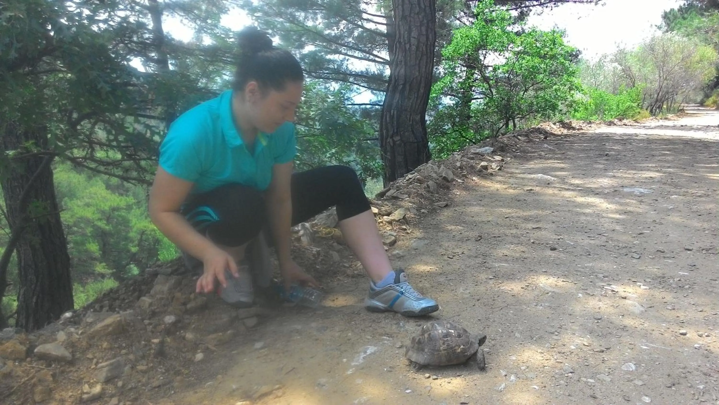 Animals in Kazdaglari Ida Natura Bungalov Hotel