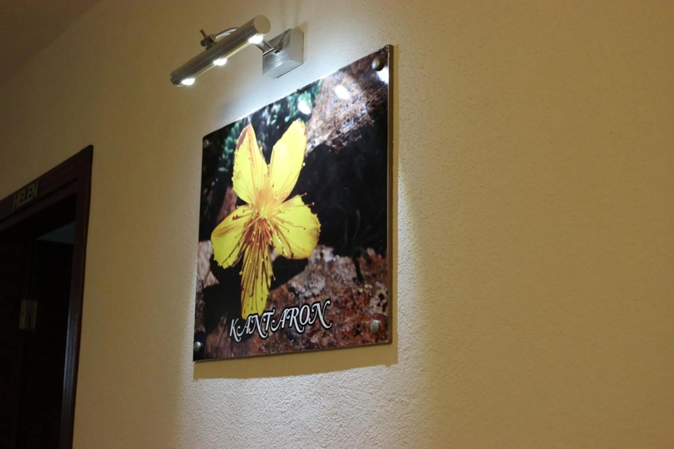 Decorative detail in Kazdaglari Ida Natura Bungalov Hotel