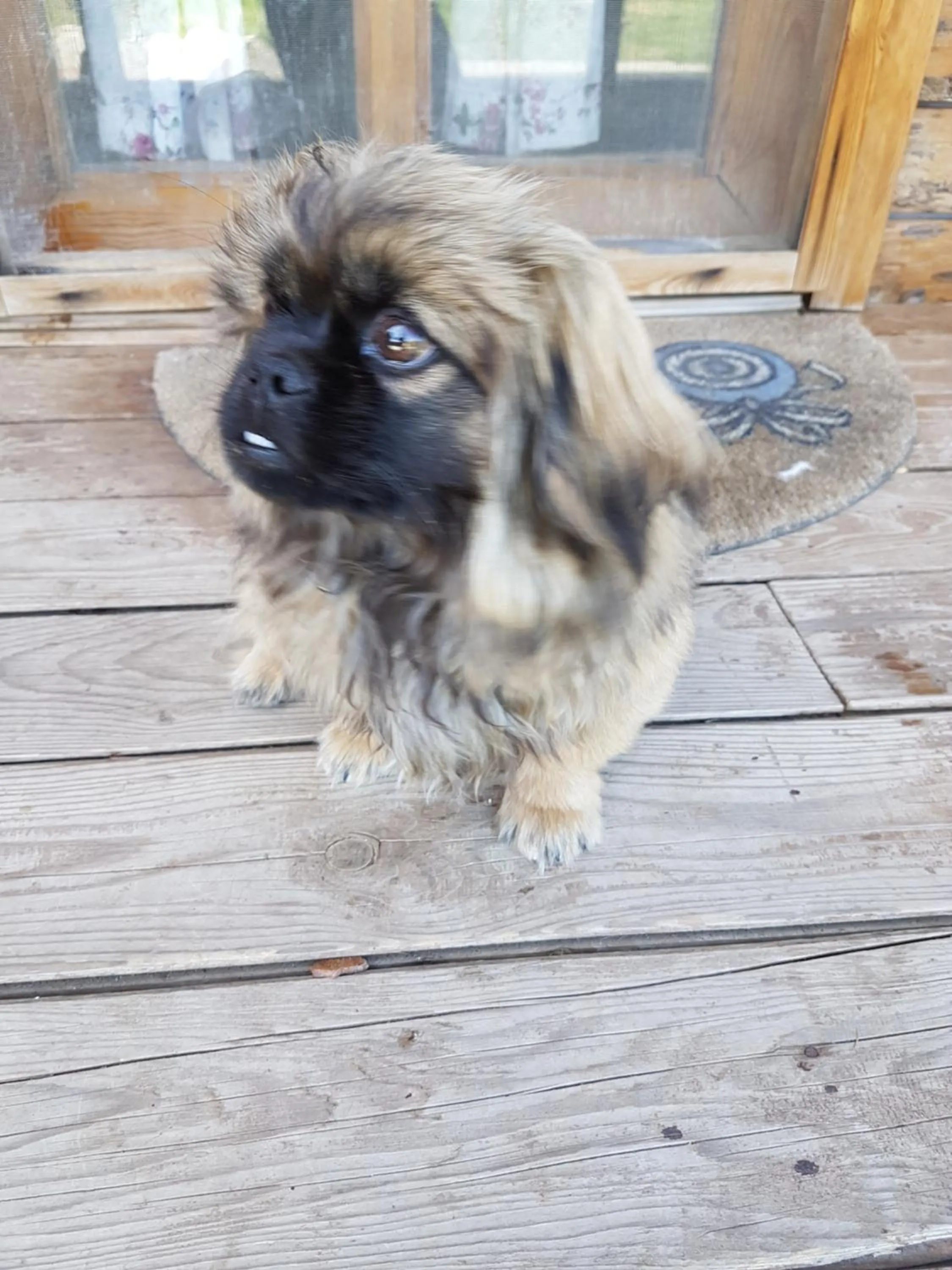 Autumn in Kazdaglari Ida Natura Bungalov Hotel