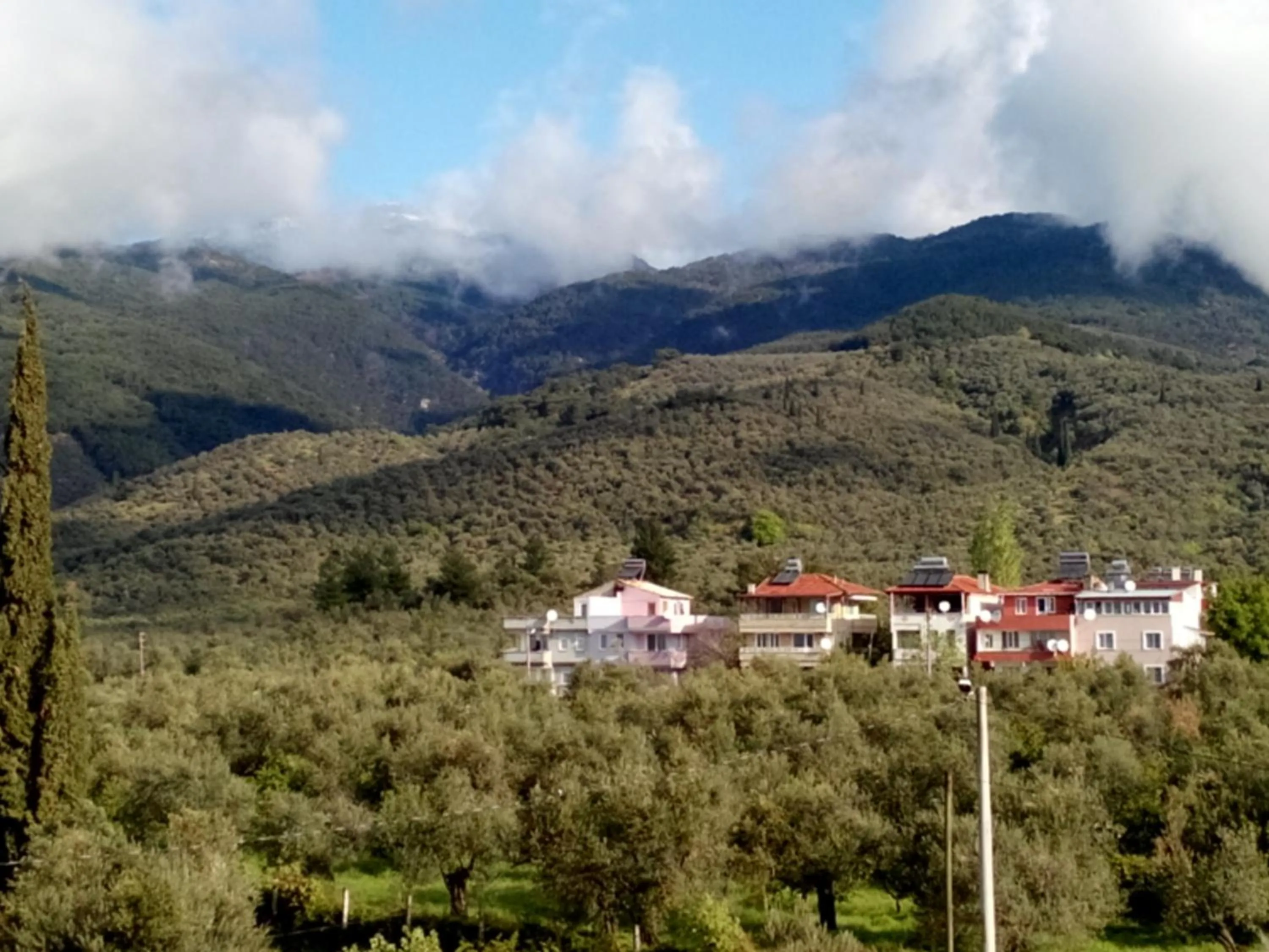 Natural landscape in Kazdaglari Ida Natura Bungalov Hotel