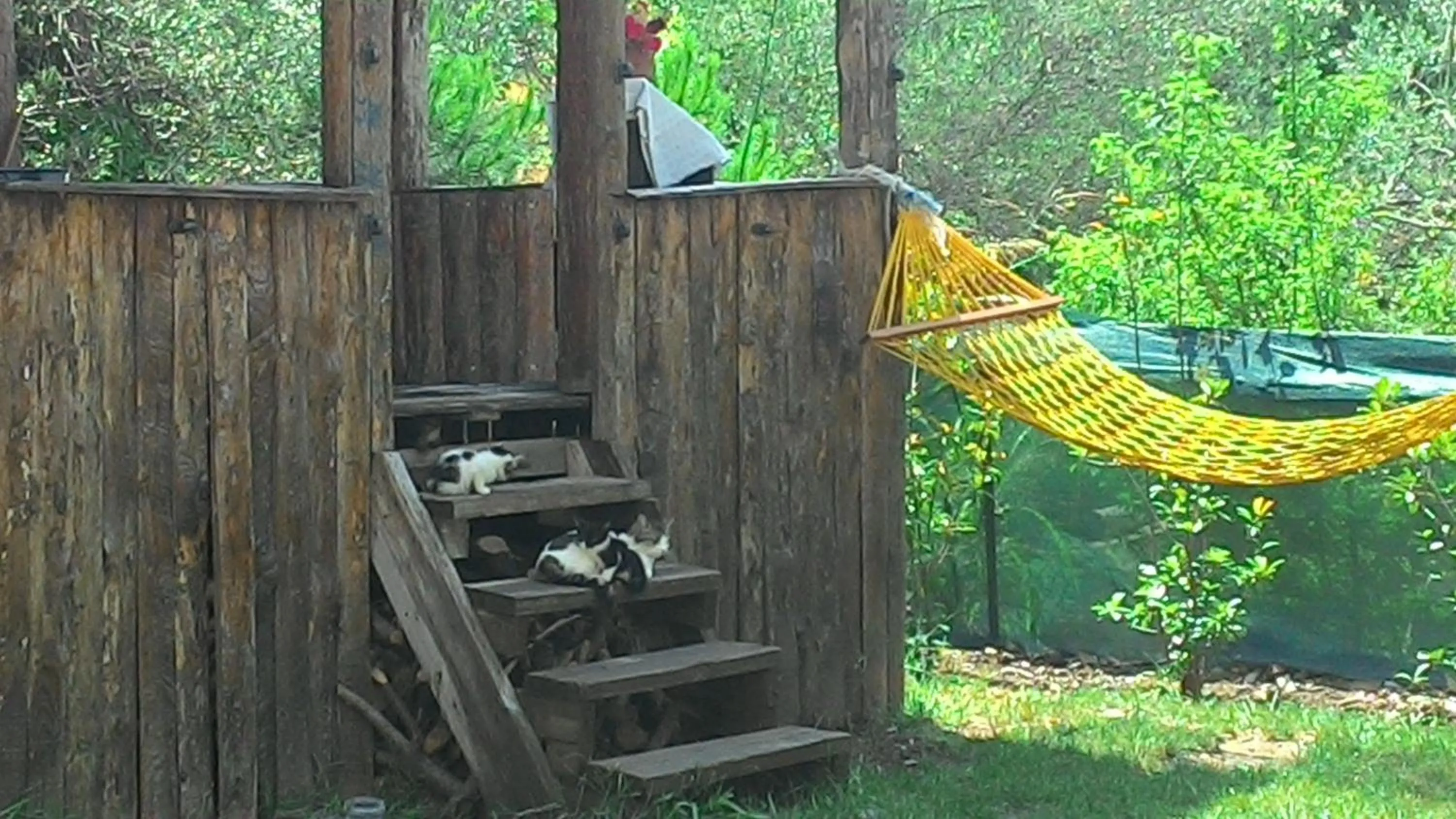Pets in Kazdaglari Ida Natura Bungalov Hotel