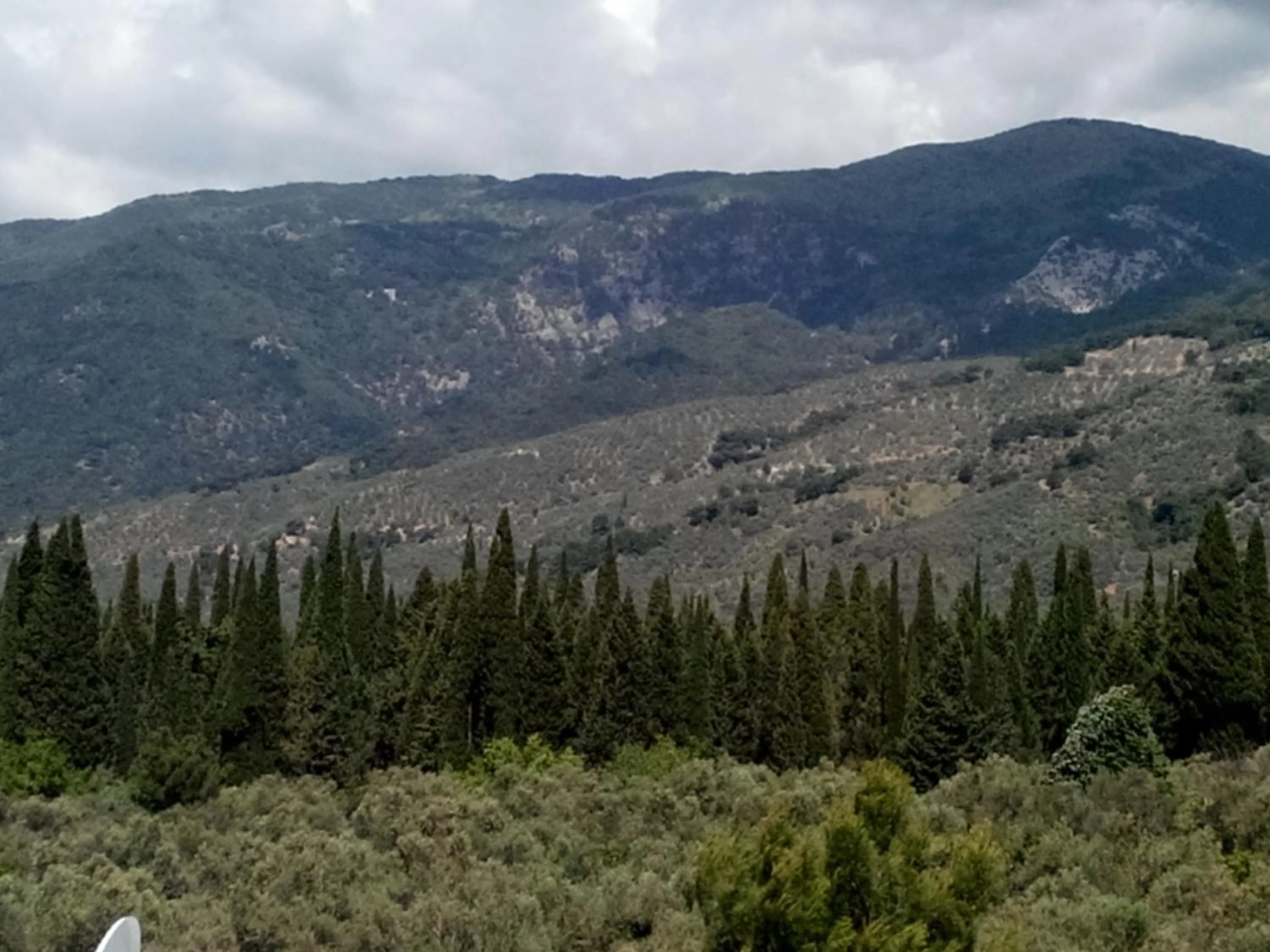Natural landscape in Kazdaglari Ida Natura Bungalov Hotel