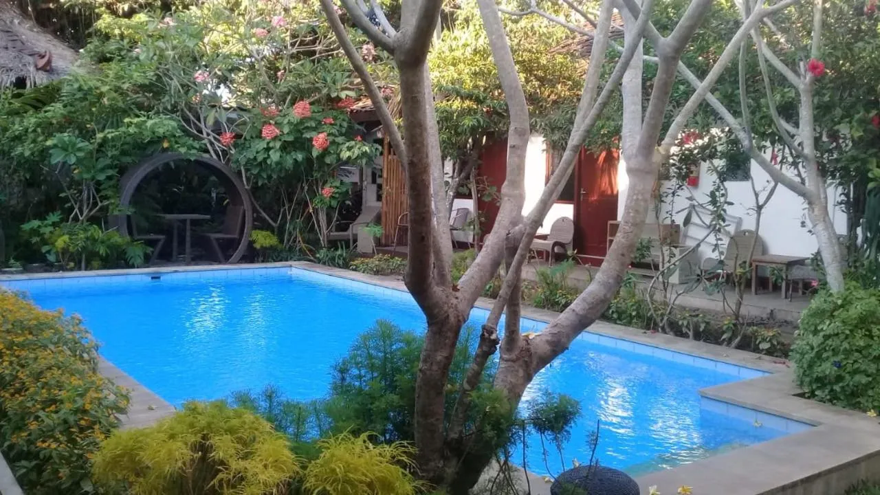 Garden view in Yoga Lover