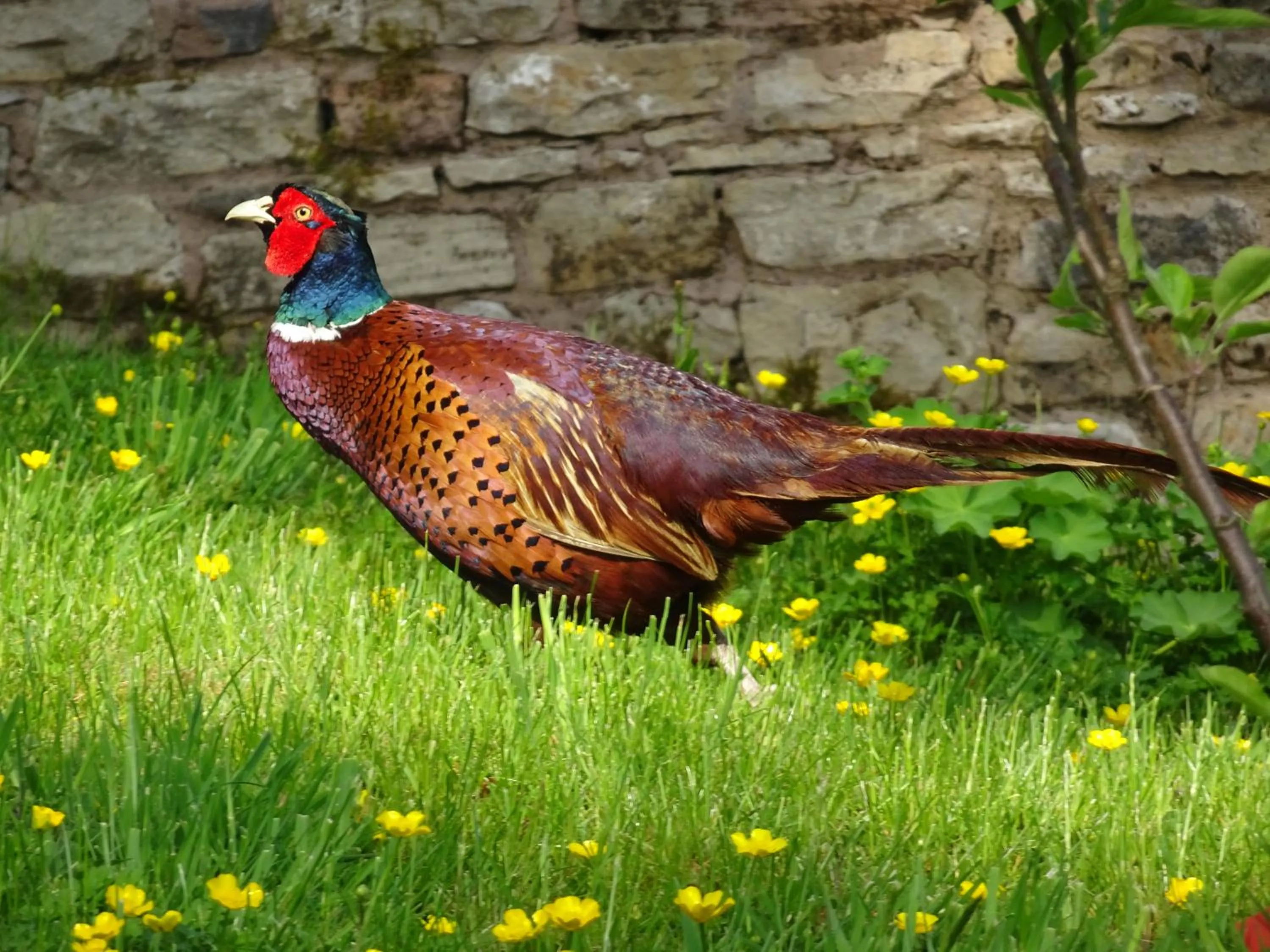 Natural landscape in Black Burn Lodge B & B