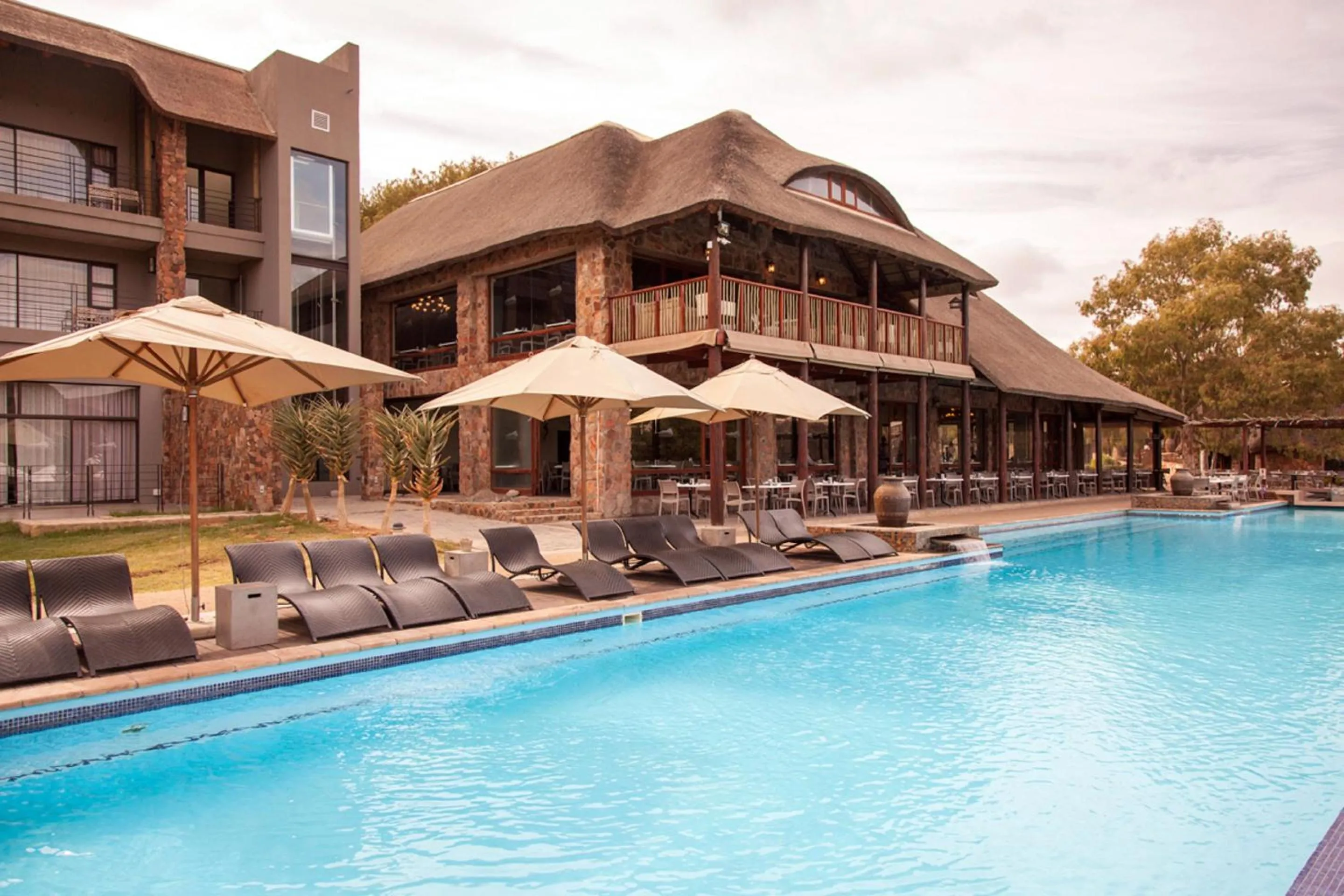 Swimming pool in Aquila Private Game Reserve & Spa