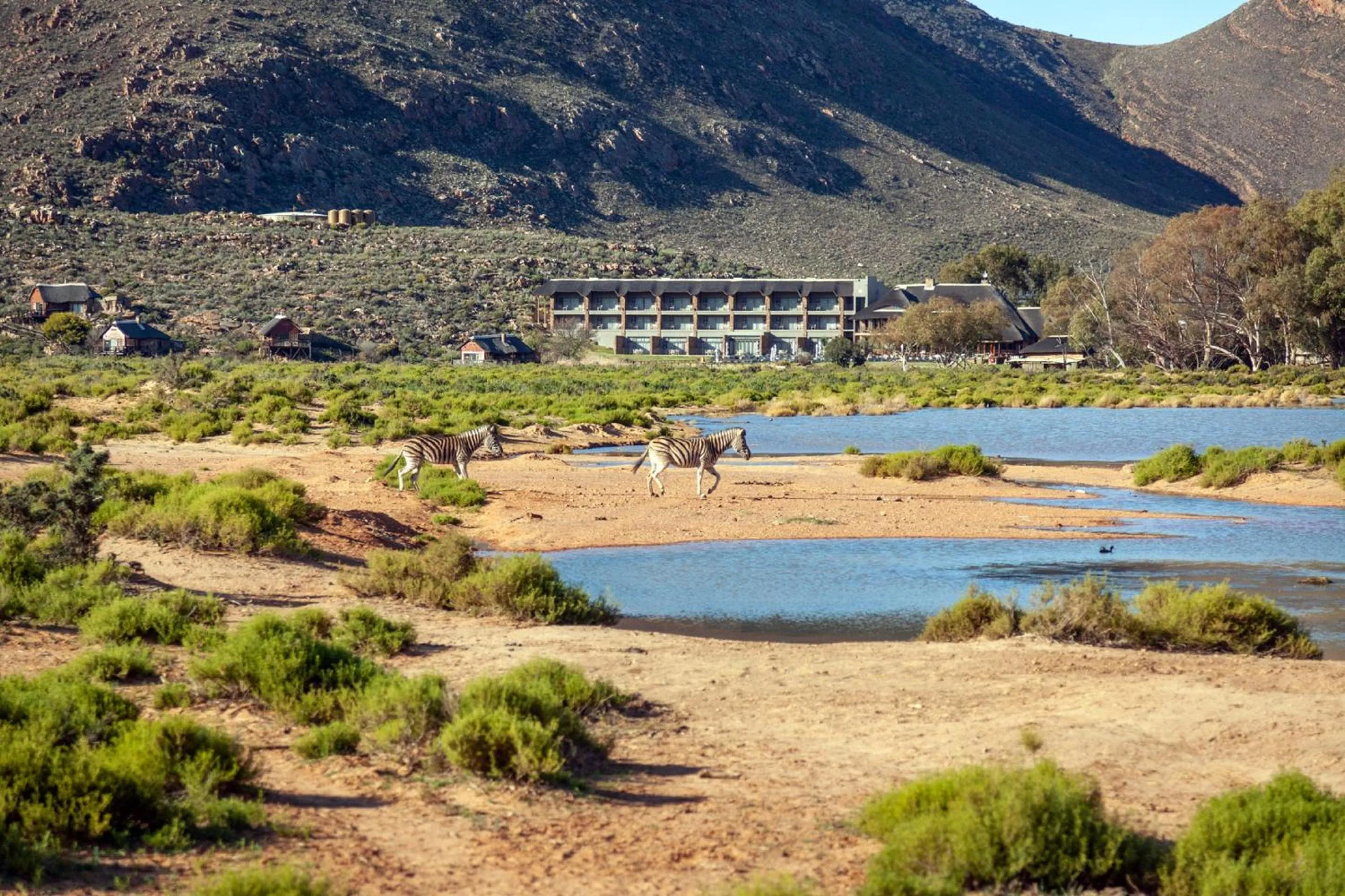 Natural landscape in Aquila Private Game Reserve & Spa