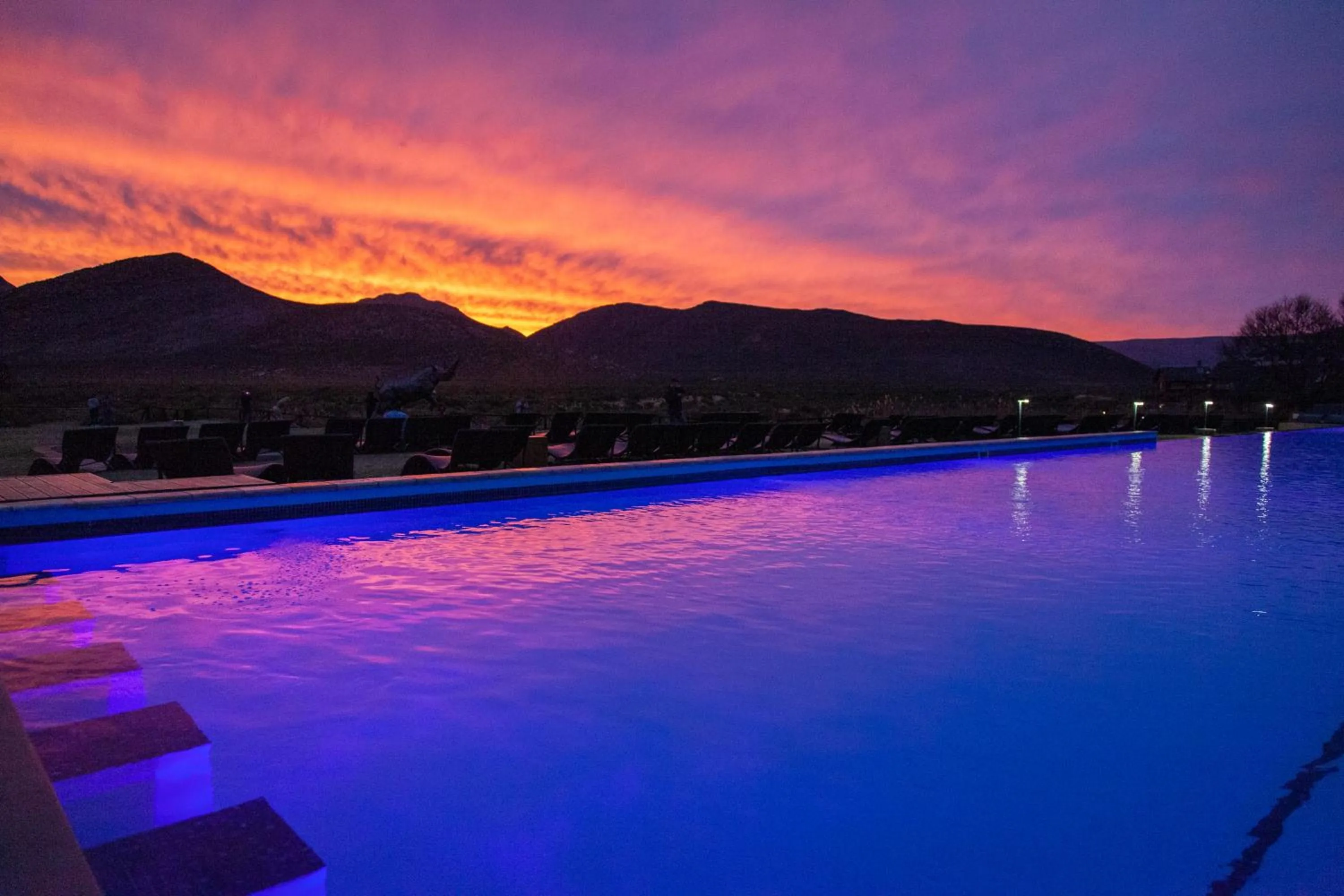 Pool view in Aquila Private Game Reserve & Spa