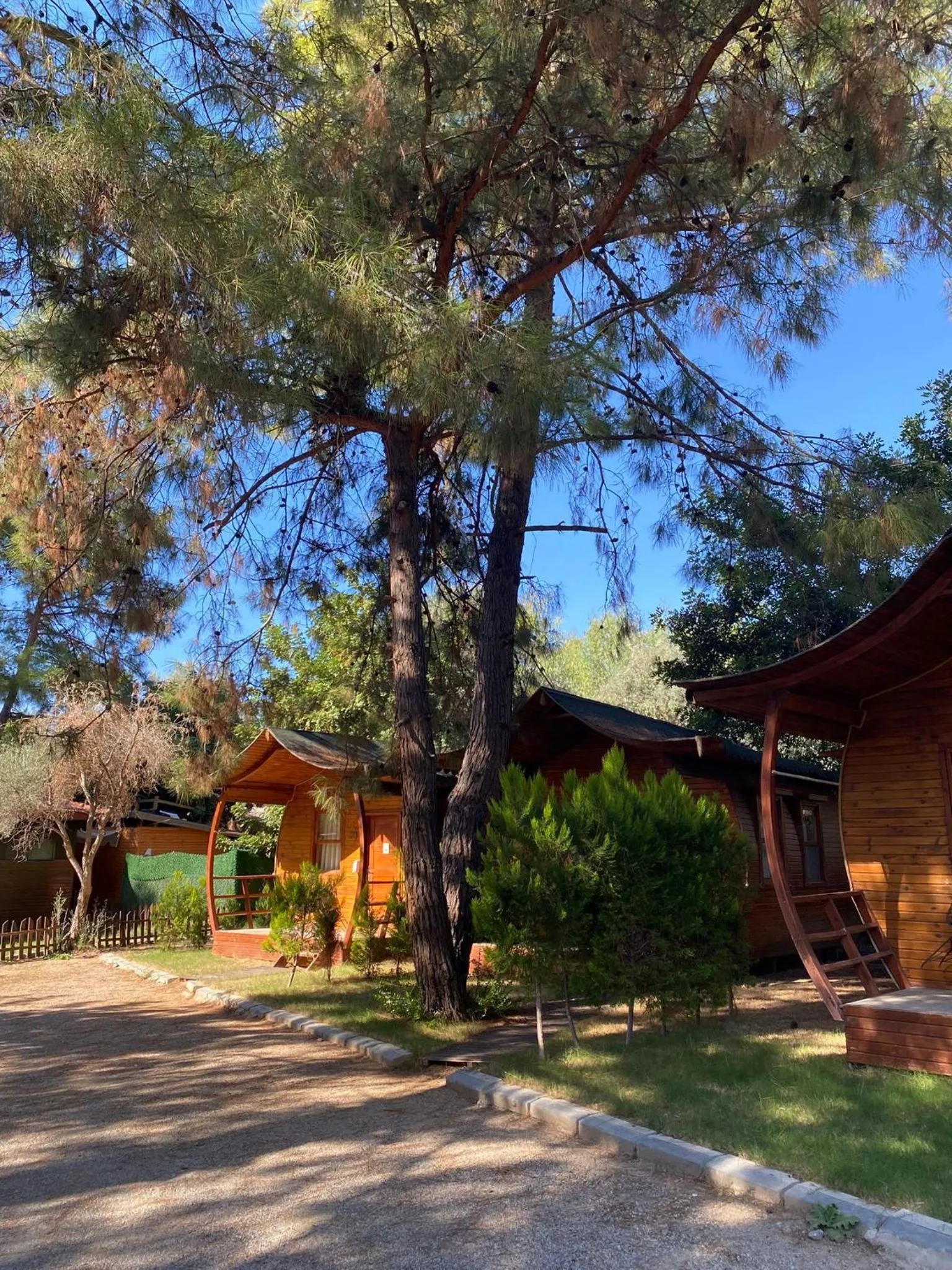 Property building in Green Pine Bungalows & Beach Luxury Concept