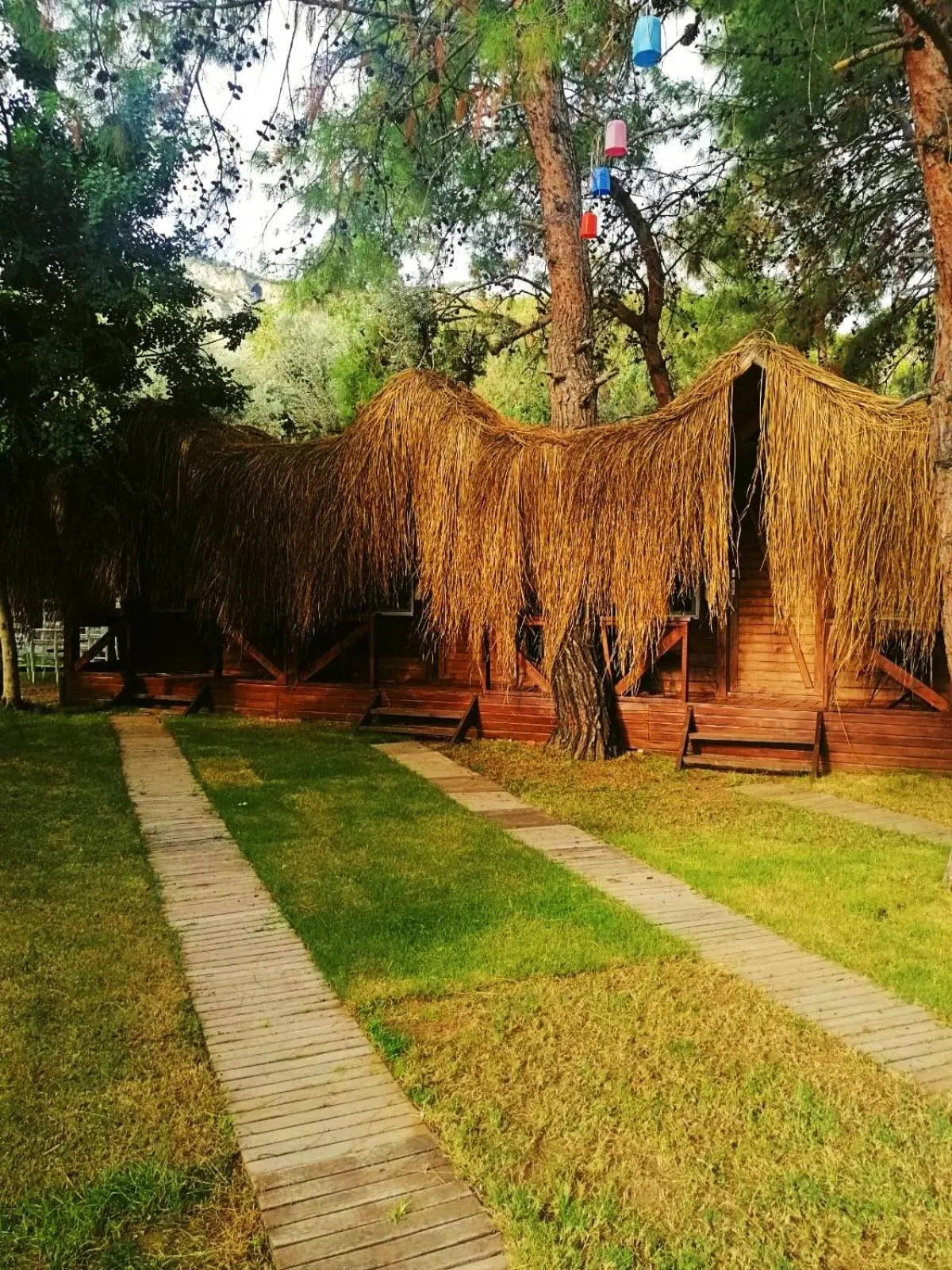 Property building in Green Pine Bungalows & Beach Luxury Concept