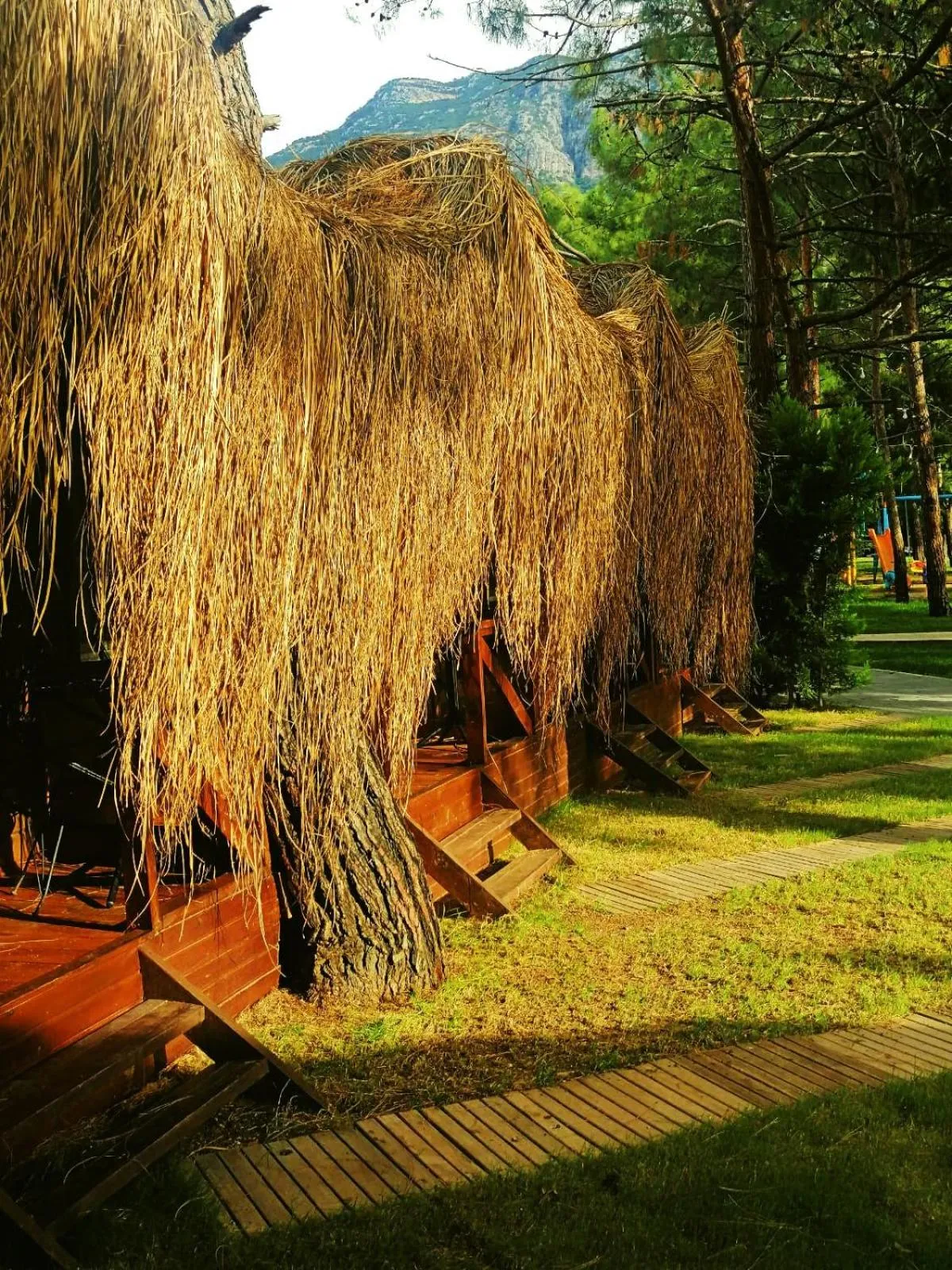 Property building in Green Pine Bungalows & Beach Luxury Concept