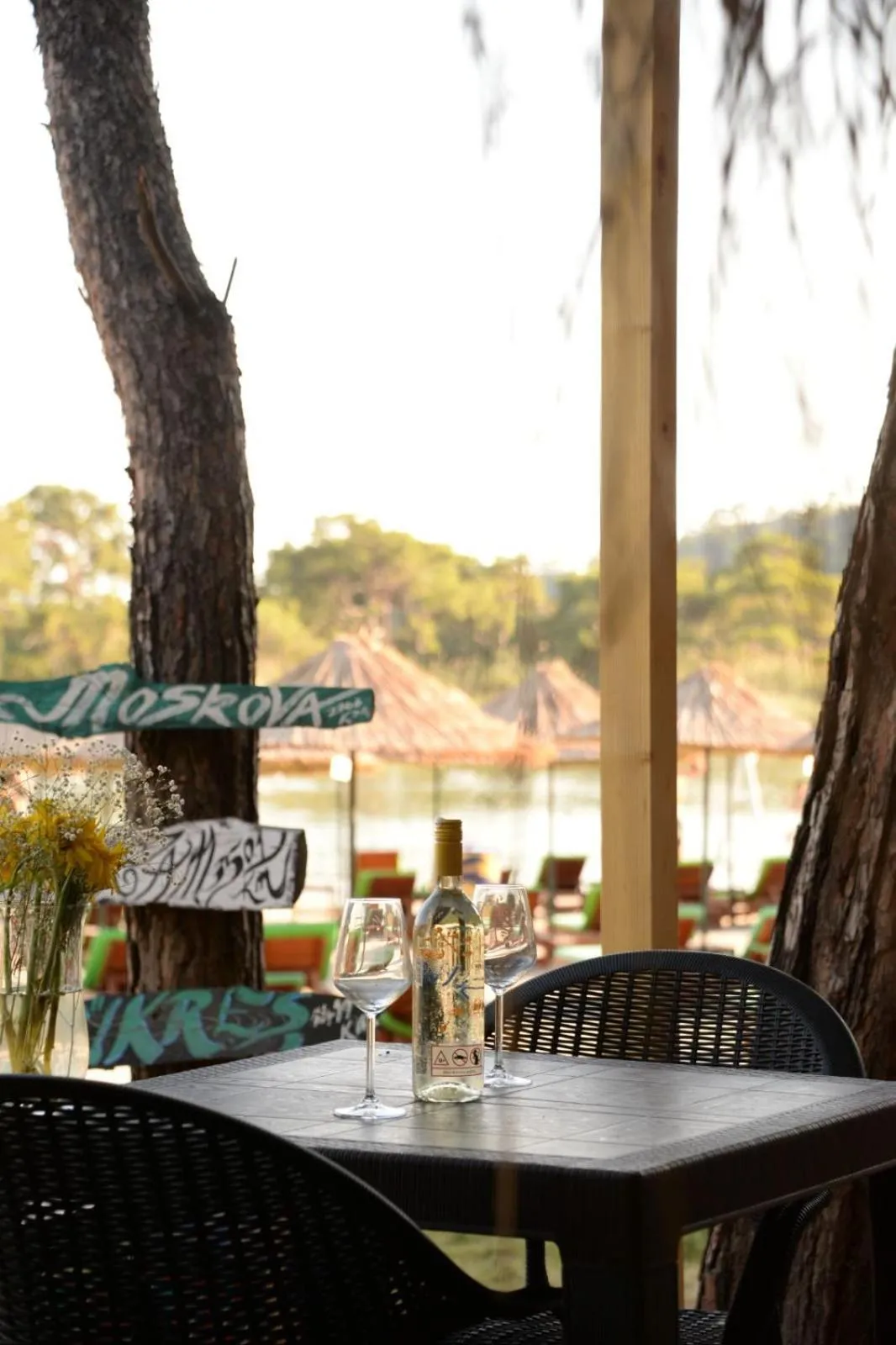 Green Pine Bungalows & Beach Luxury Concept