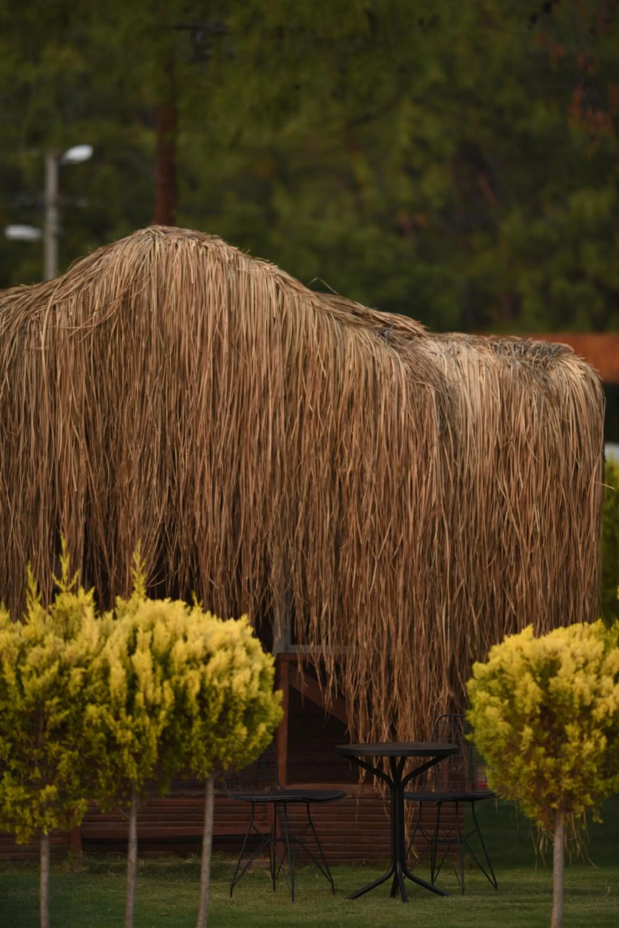 Natural landscape in Green Pine Bungalows & Beach Luxury Concept