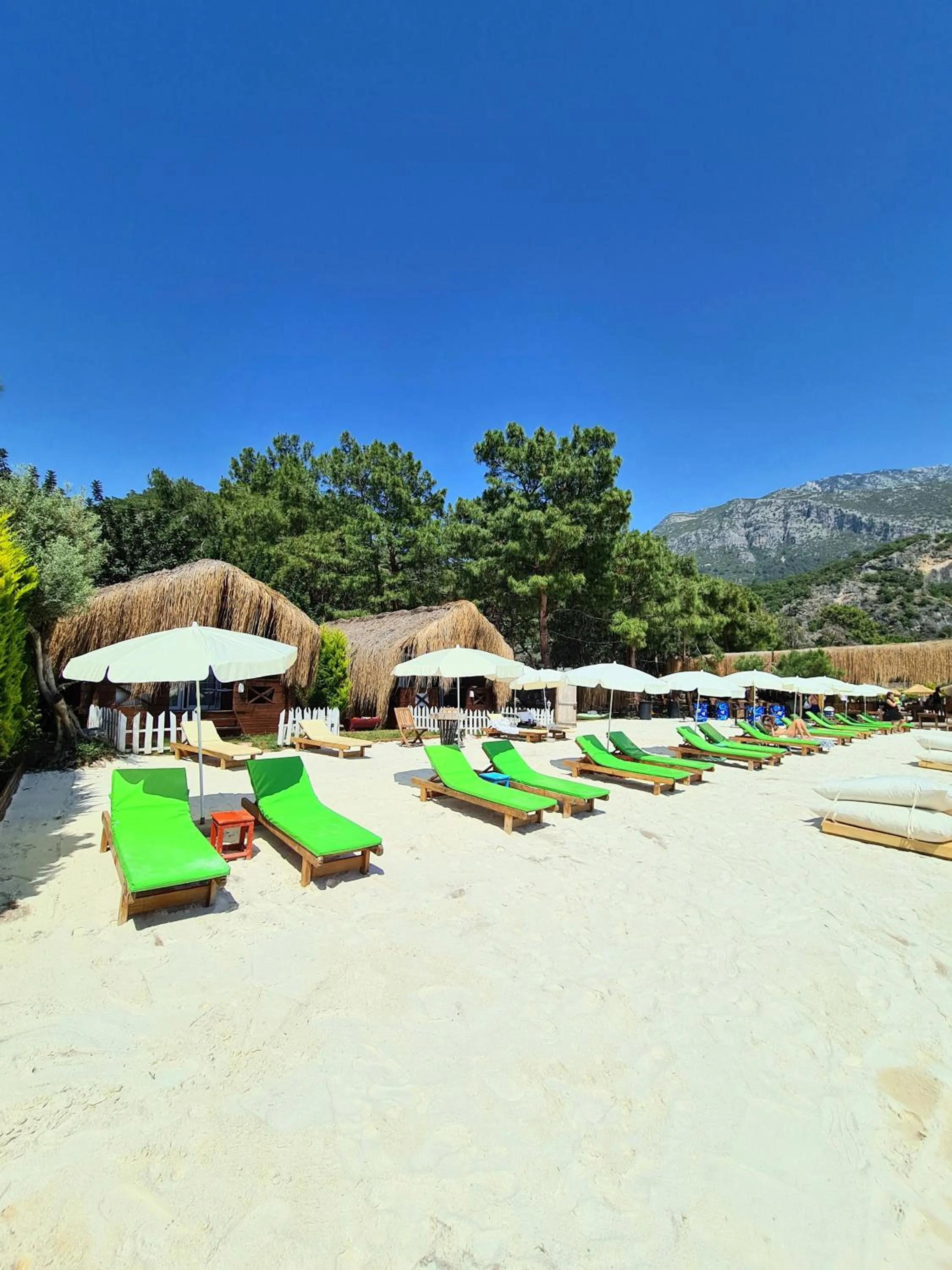 Beach in Green Pine Bungalows & Beach Luxury Concept