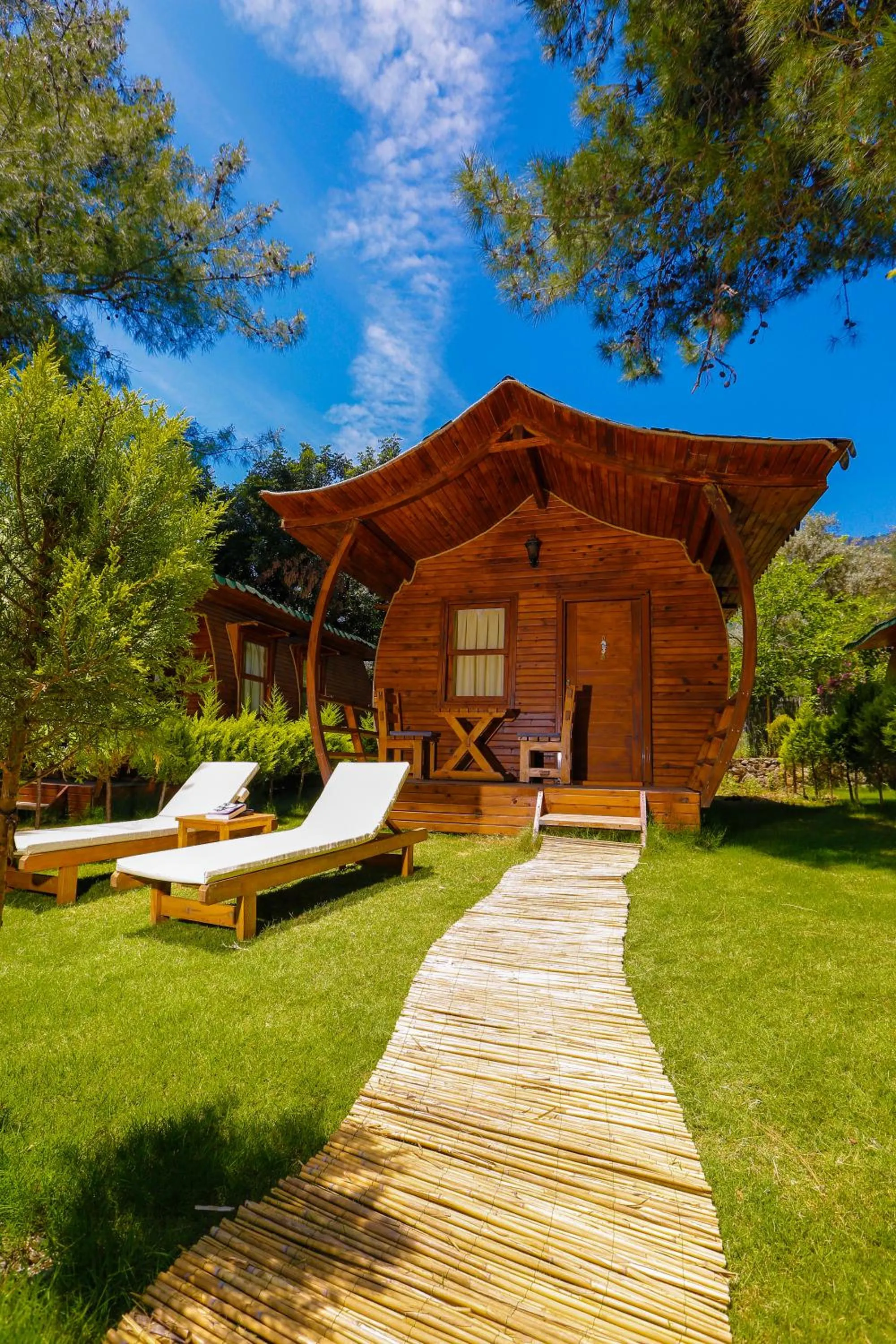 Natural landscape in Green Pine Bungalows & Beach Luxury Concept