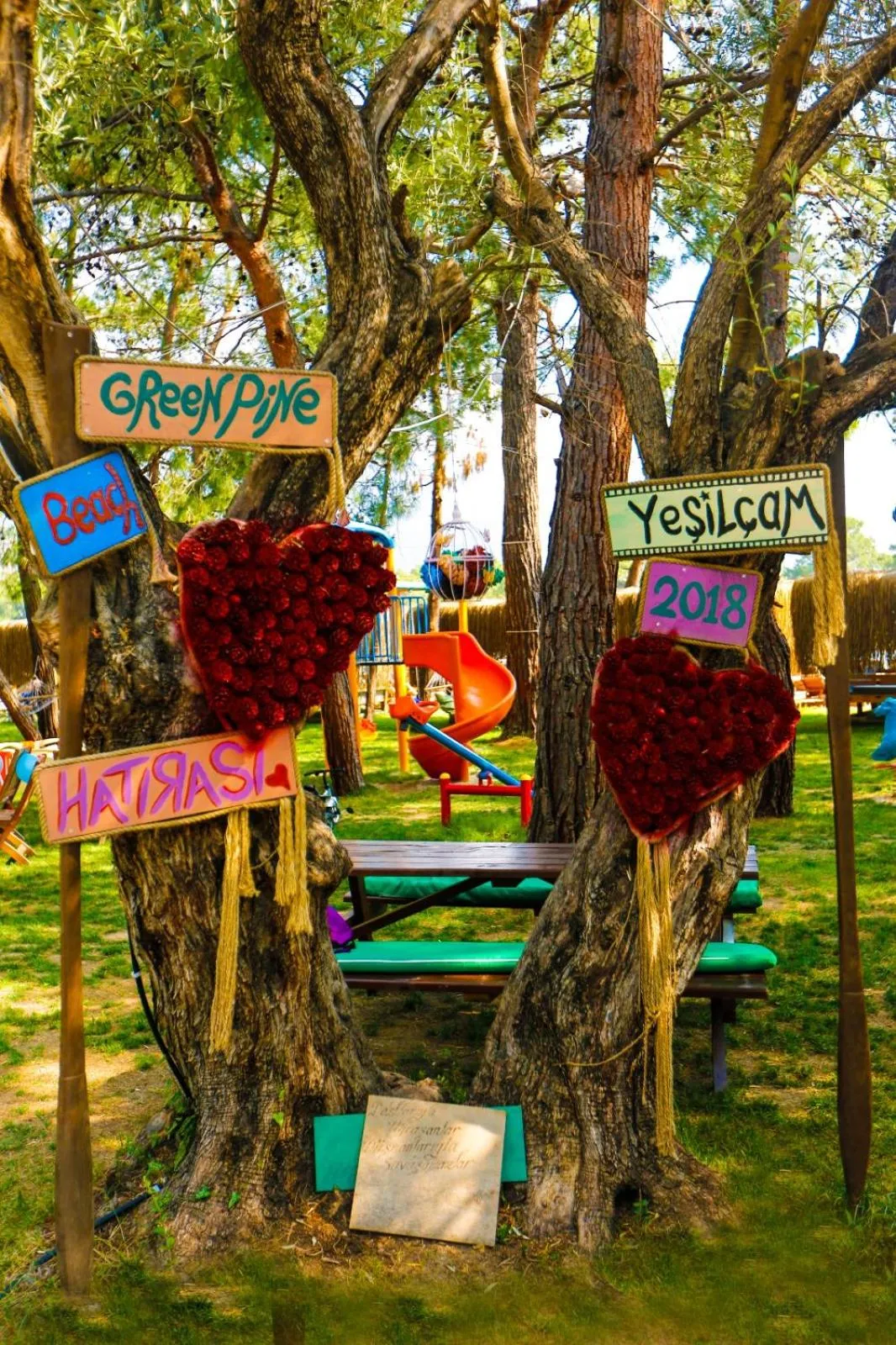 Property logo or sign in Green Pine Bungalows & Beach Luxury Concept