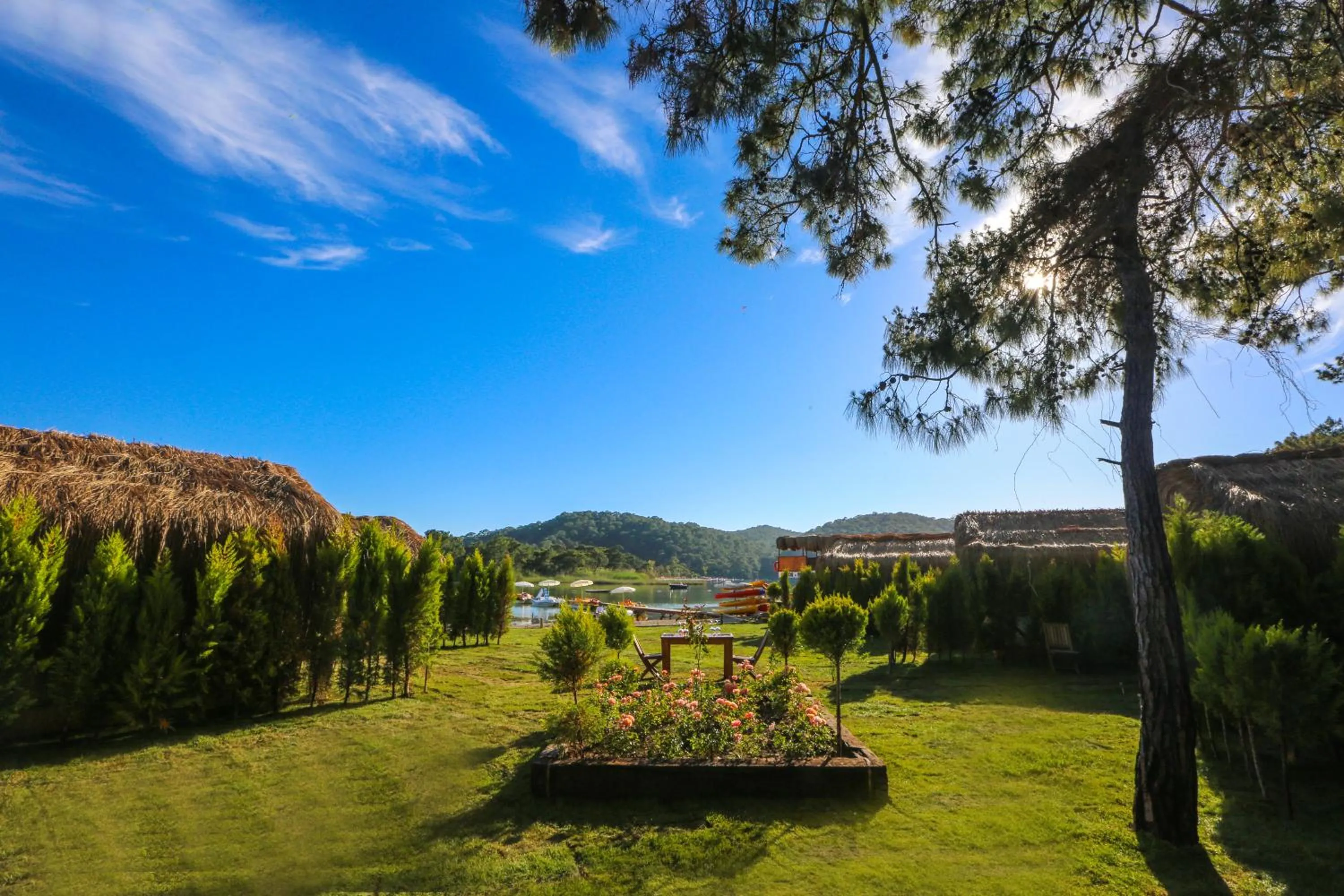 Natural landscape in Green Pine Bungalows & Beach Luxury Concept