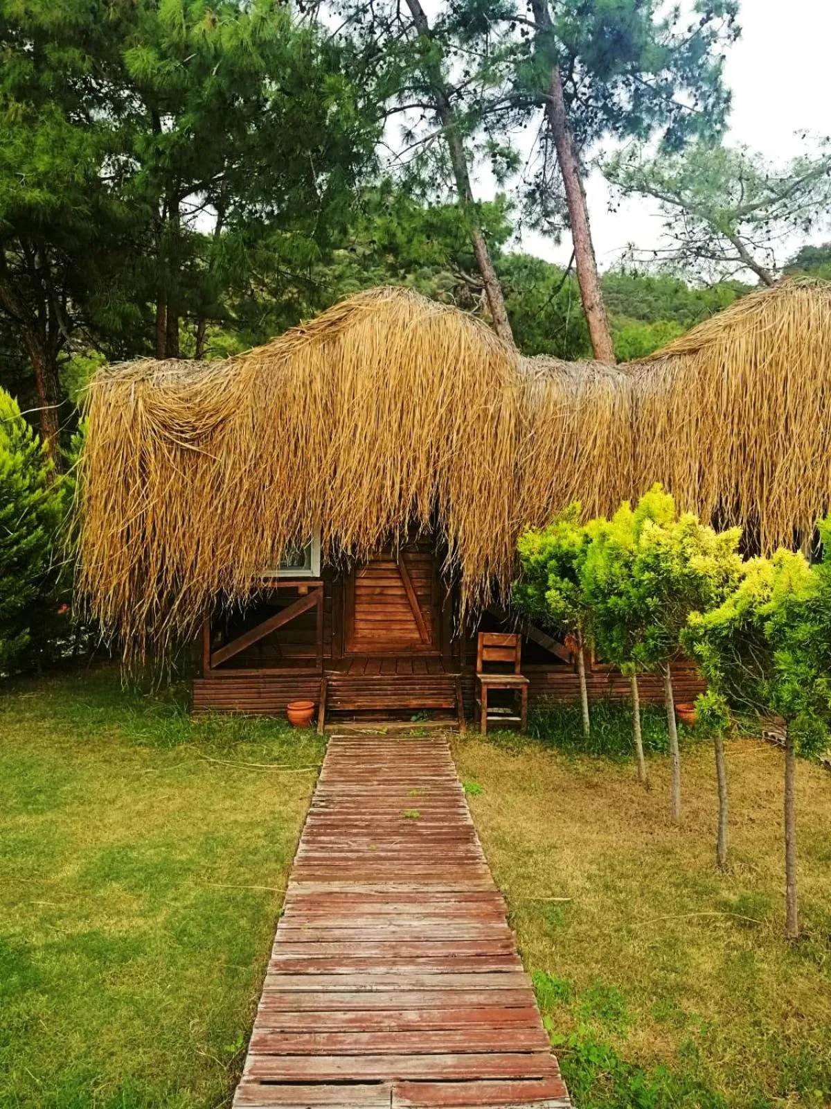 Property building in Green Pine Bungalows & Beach Luxury Concept