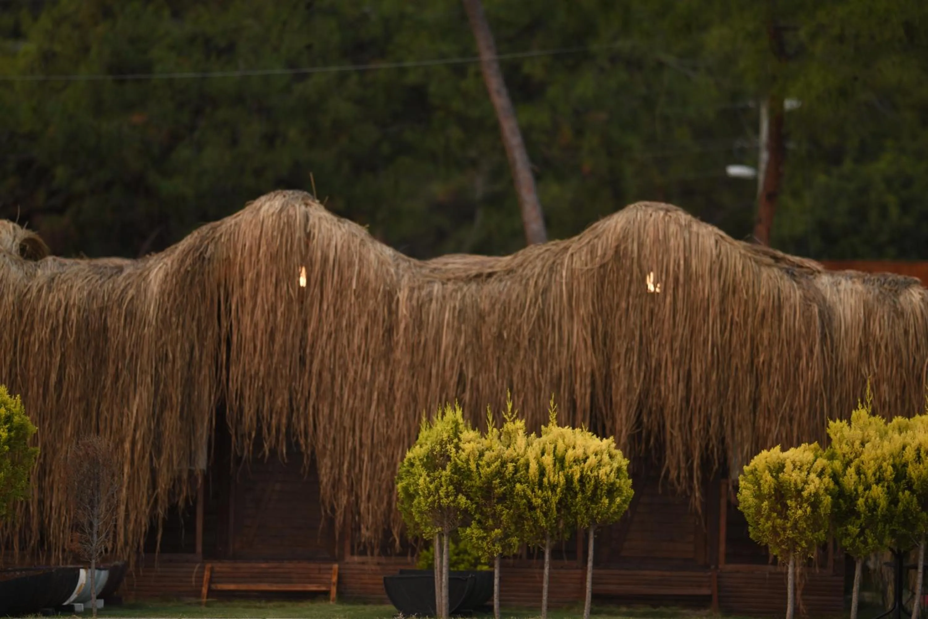 Natural landscape in Green Pine Bungalows & Beach Luxury Concept