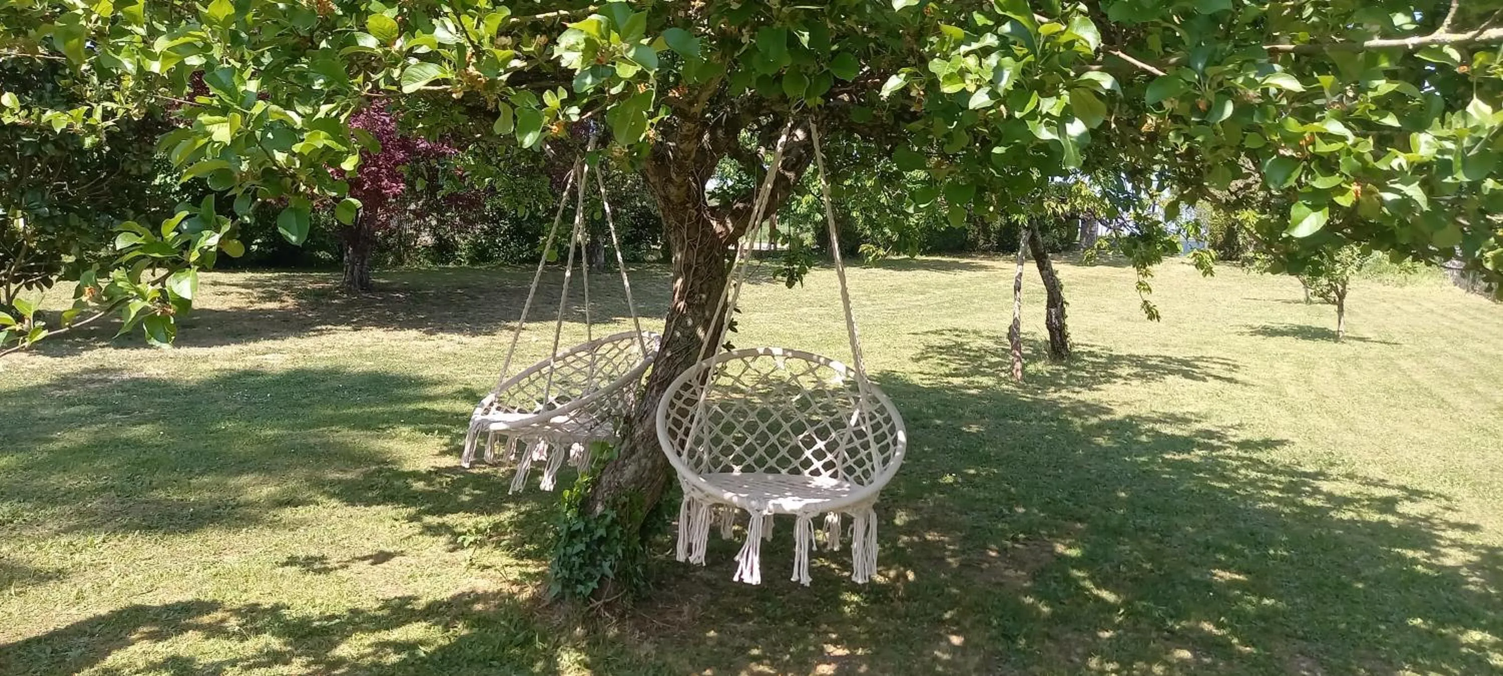 Garden in La Maison Josnes de Mady