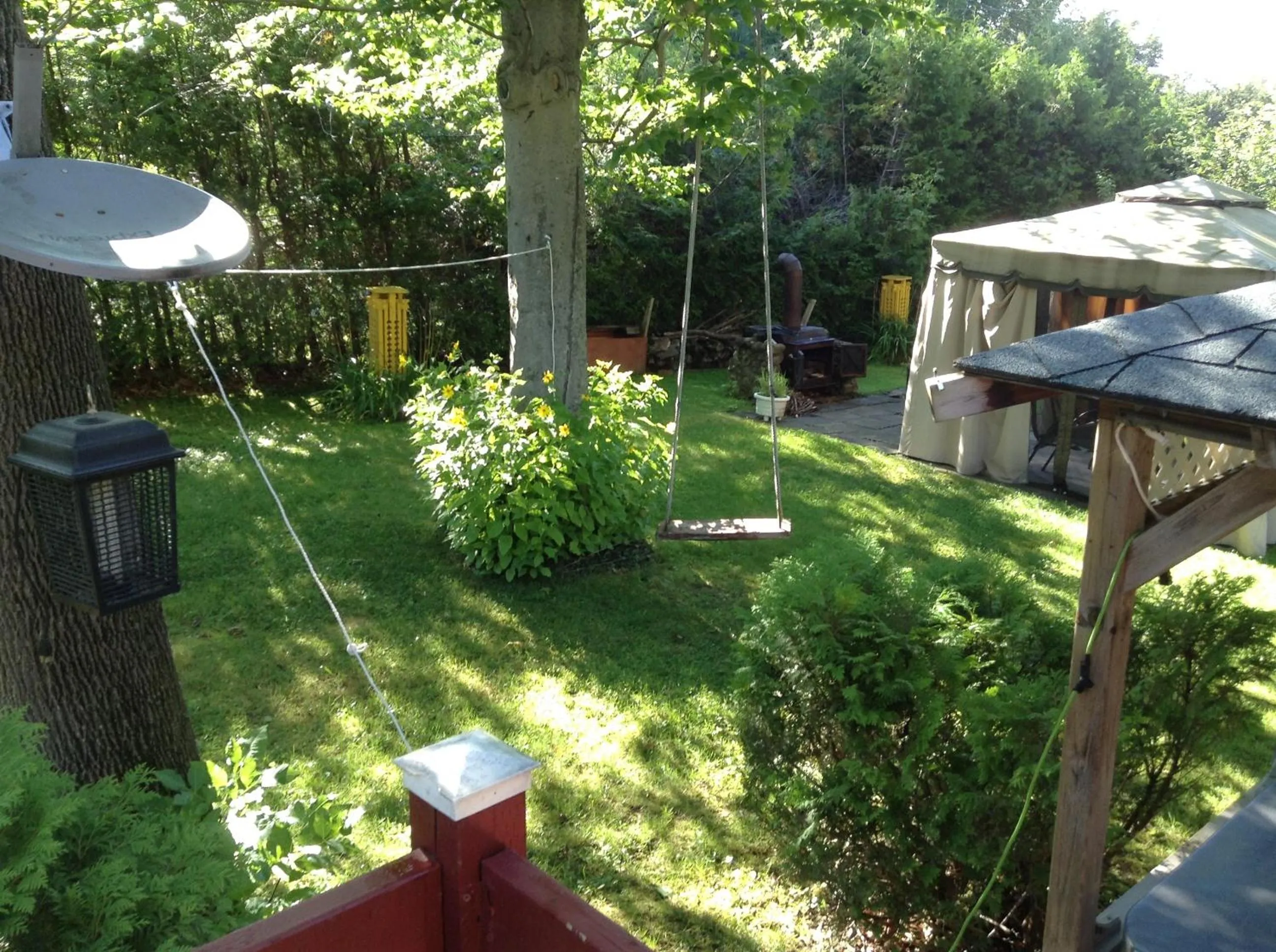 Garden in Chez Lulu et Lutin