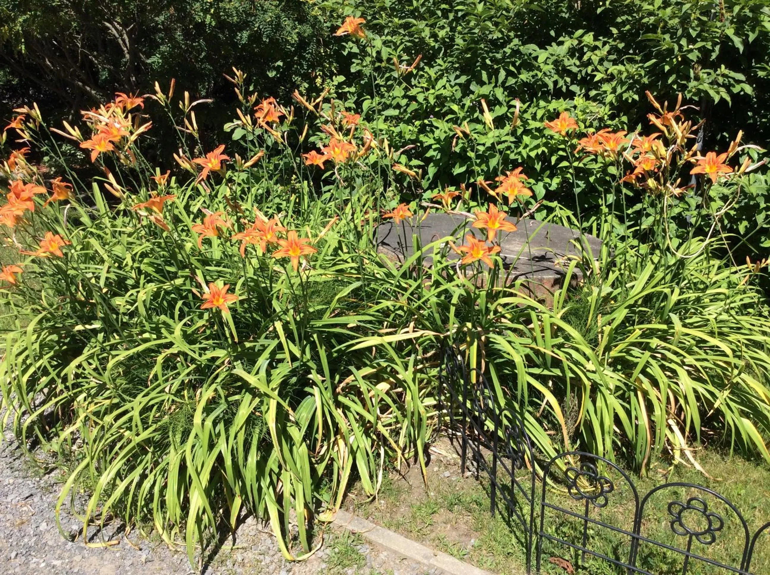 Natural landscape in Chez Lulu et Lutin