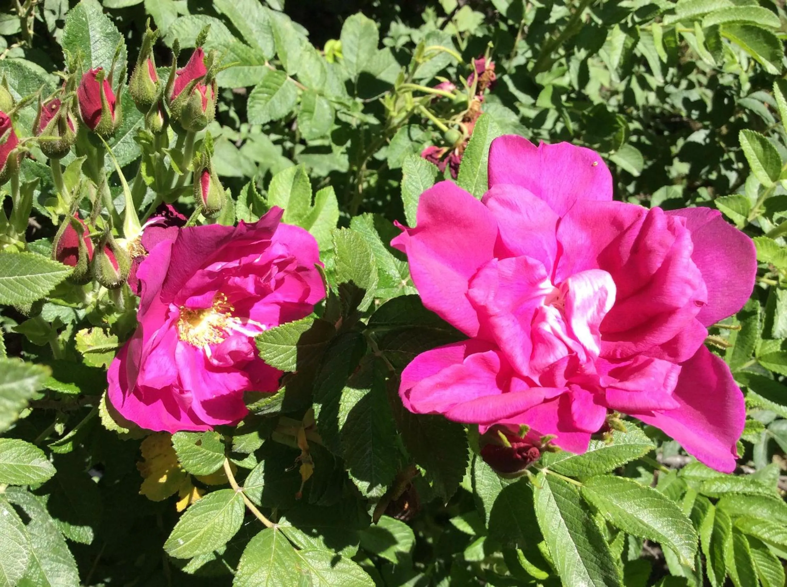 Natural landscape in Chez Lulu et Lutin