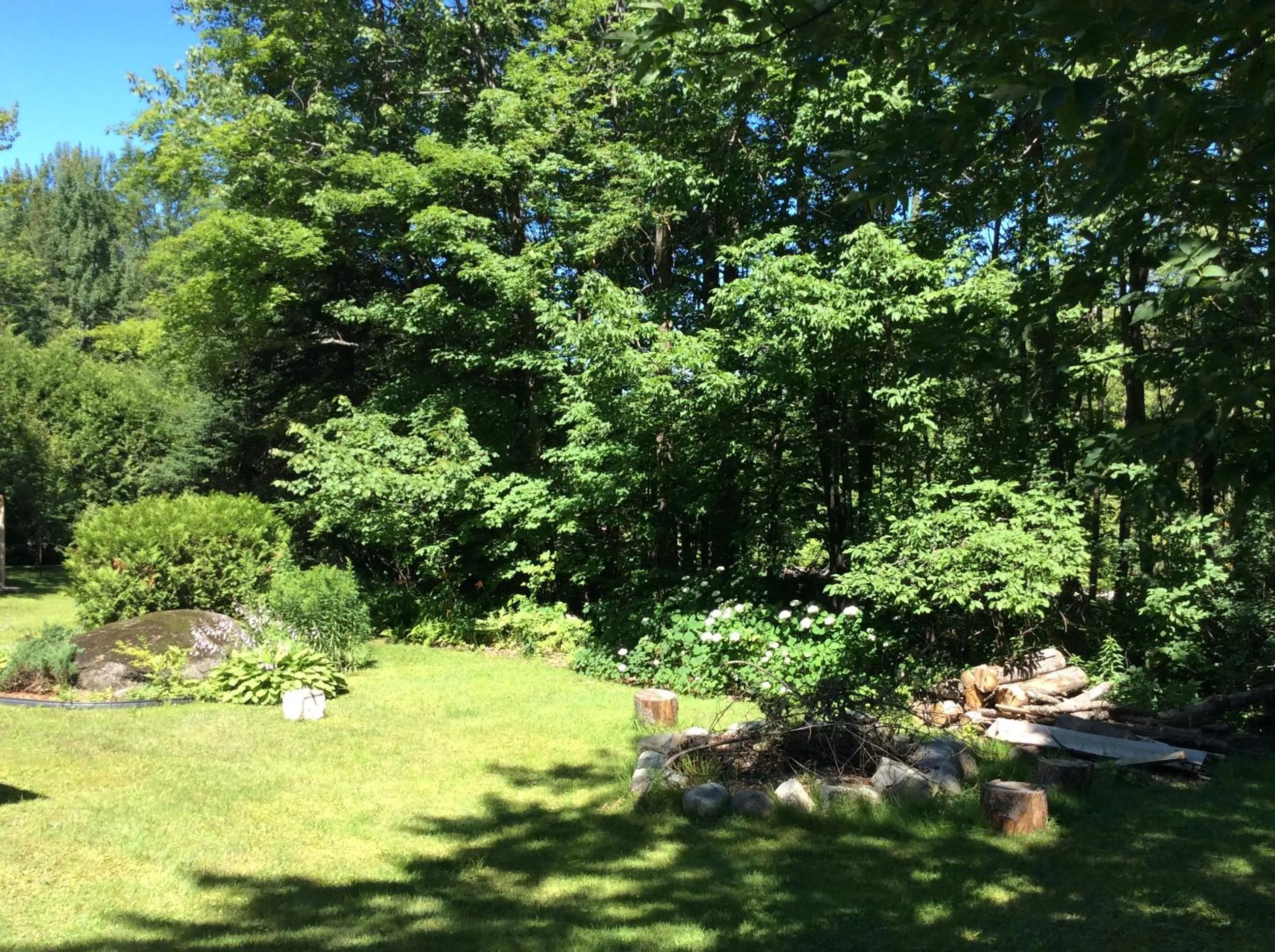 Natural landscape in Chez Lulu et Lutin