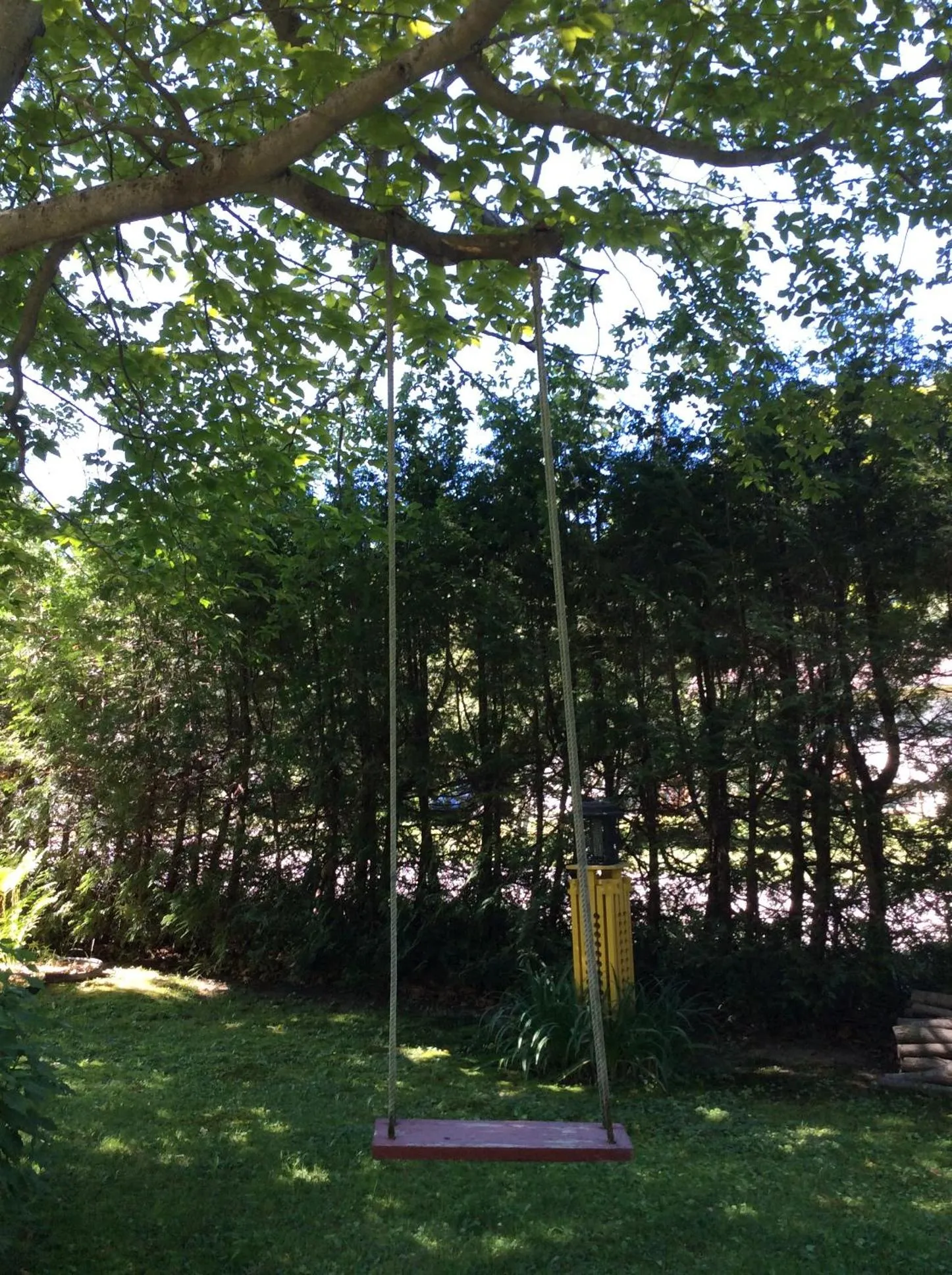 Natural landscape in Chez Lulu et Lutin