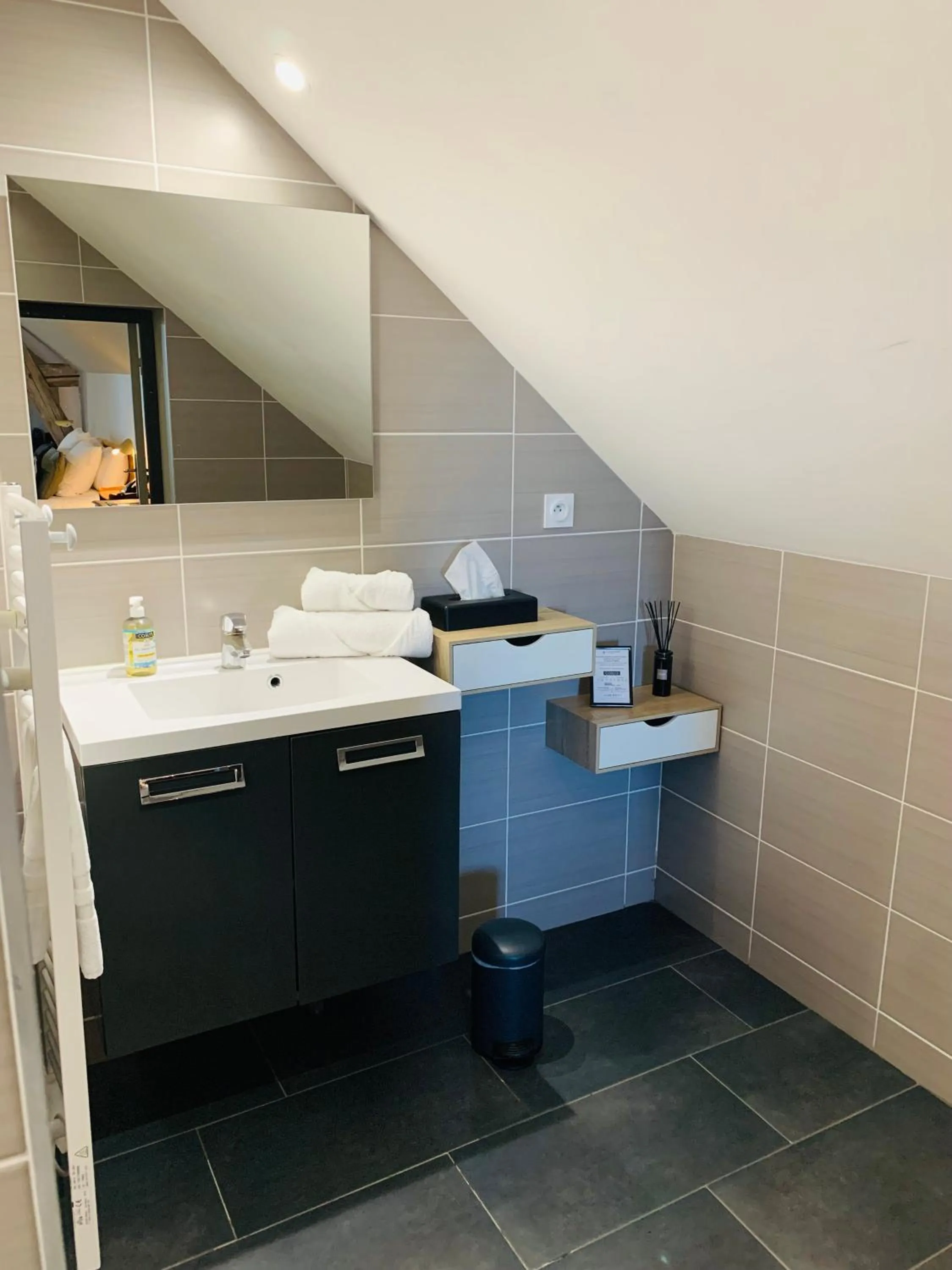 Bathroom in Le Château des Forges