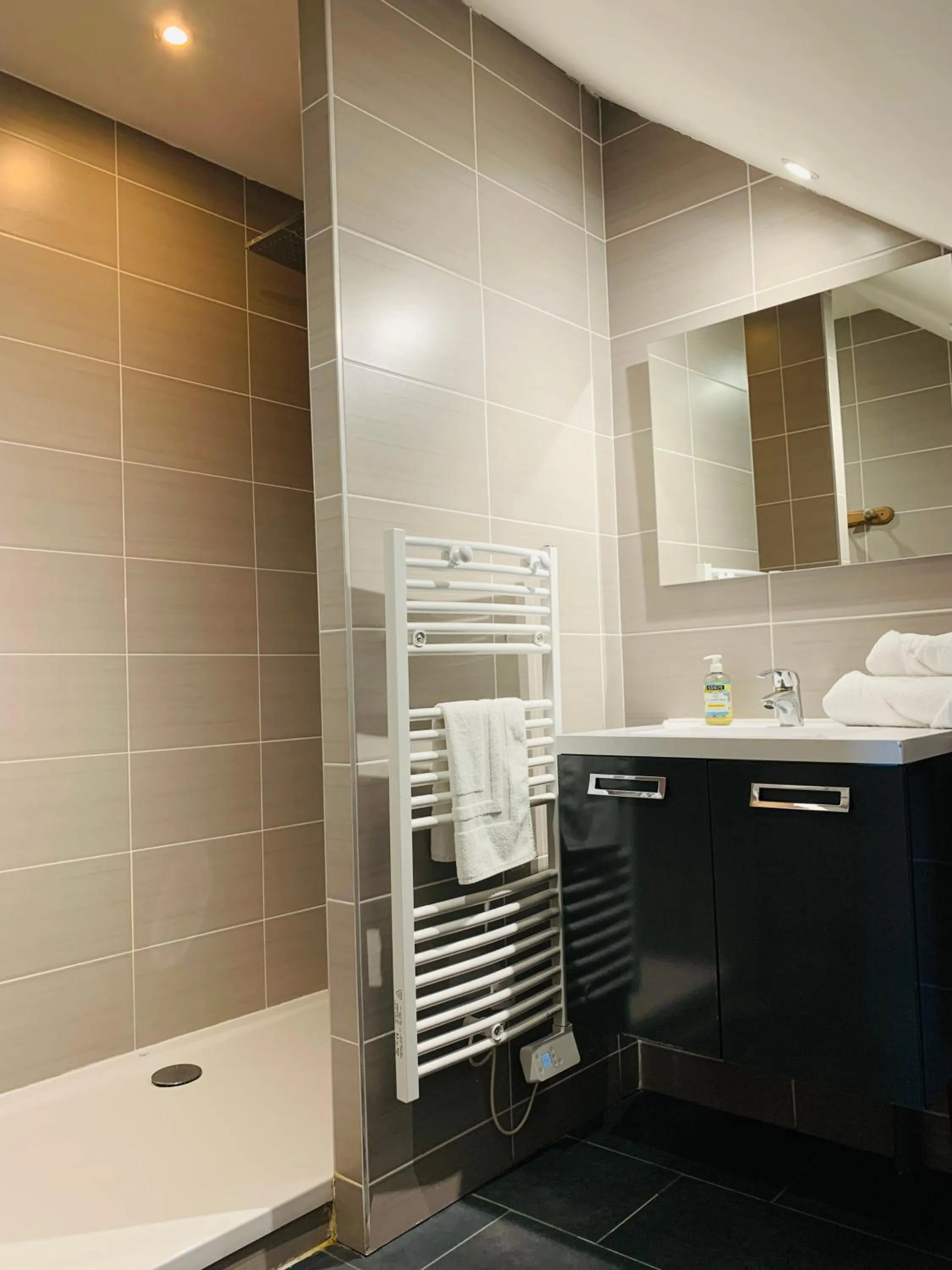 Bathroom in Le Château des Forges