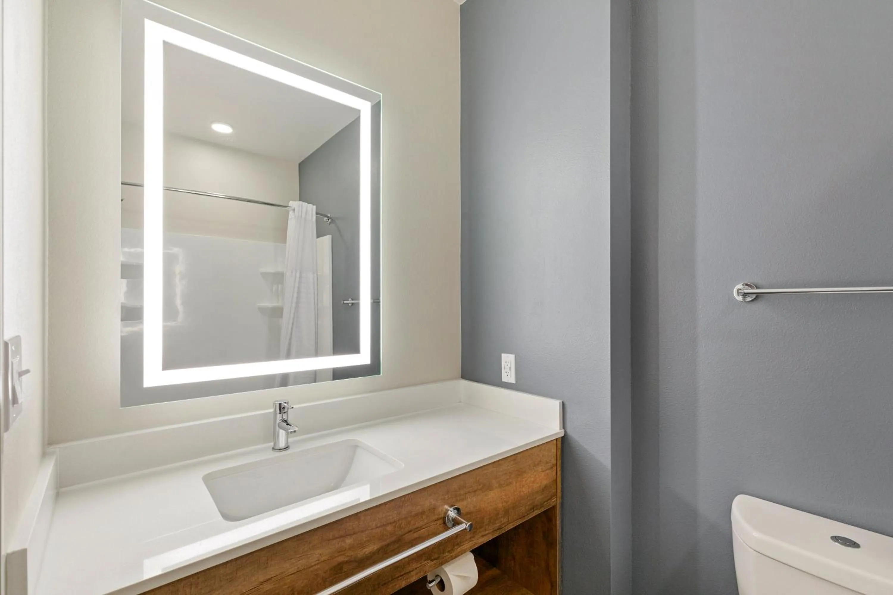 Bathroom in Extended Stay America Premier Suites - Tampa - Fairgrounds - Casino