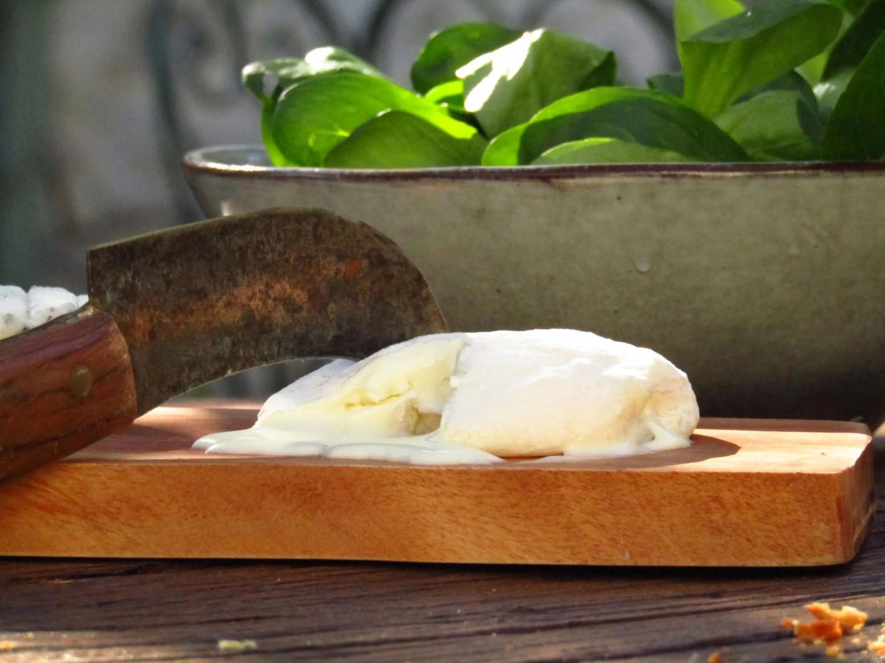 Restaurant/places to eat in La Bastide de Canaules