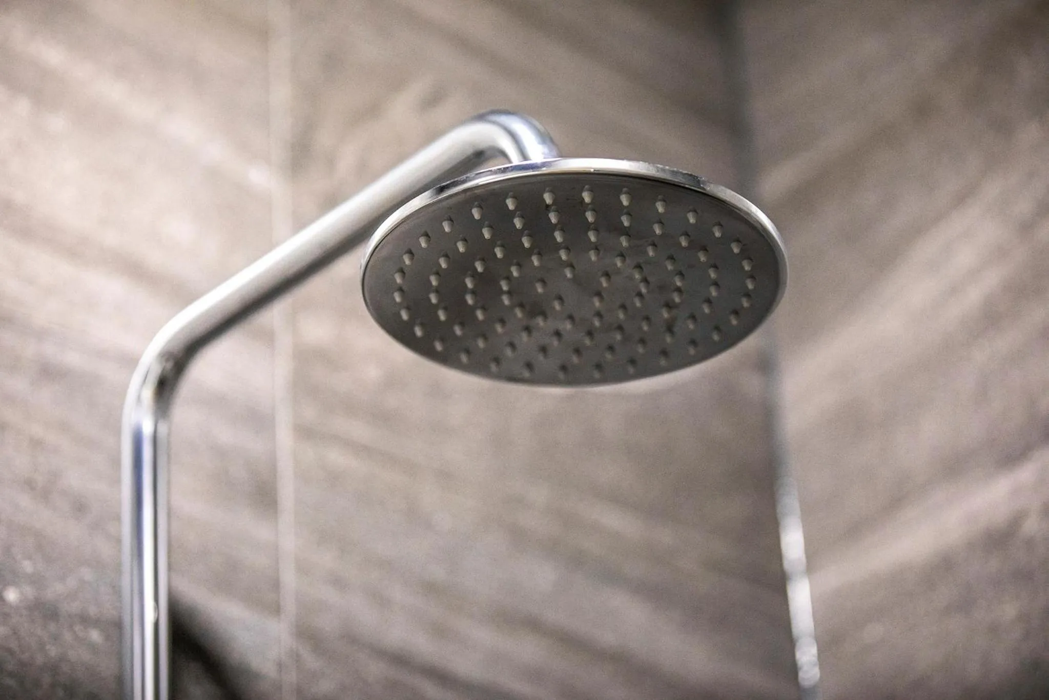 Shower in Nightcap at Northern Grounds