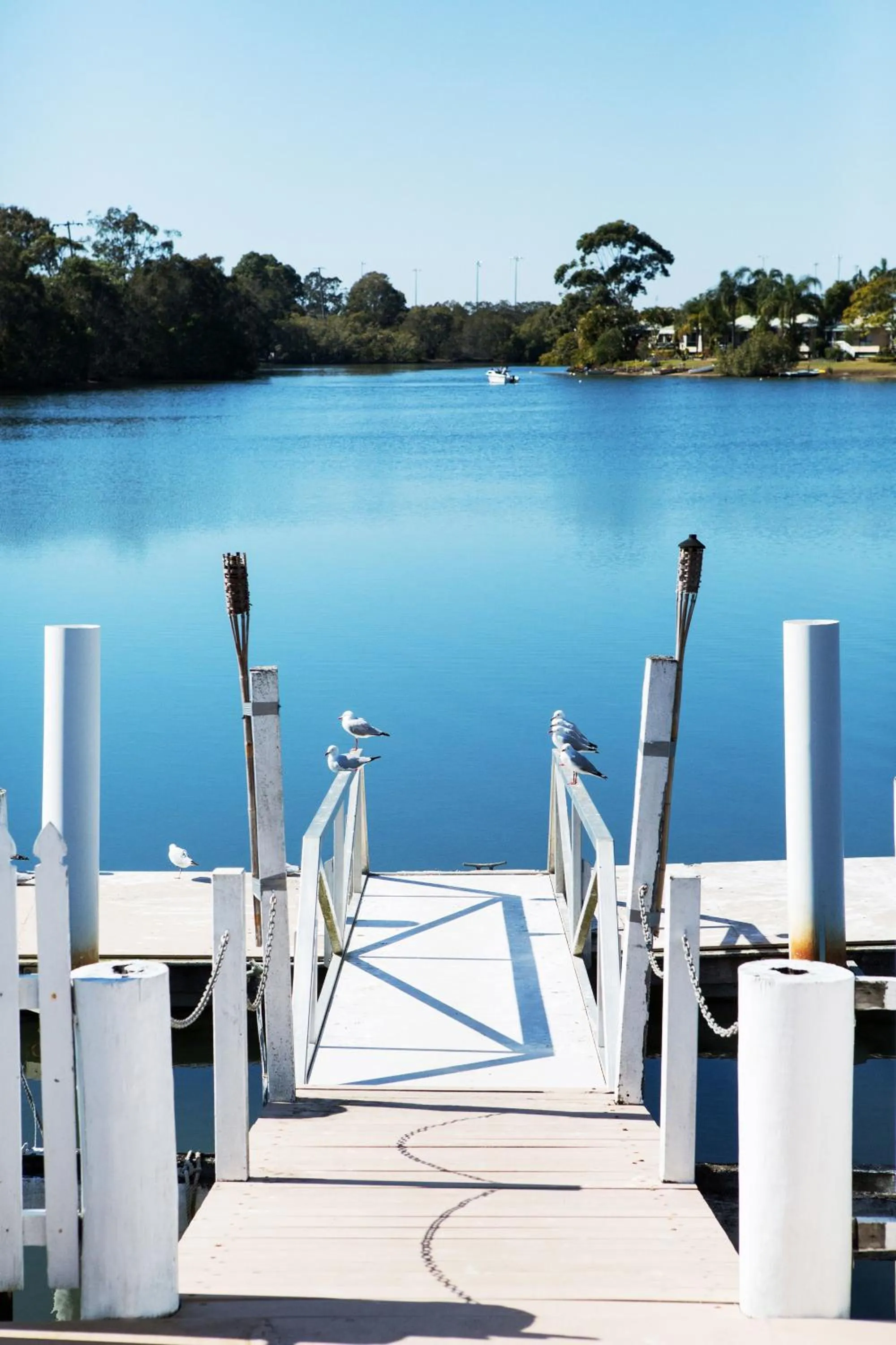 Natural landscape in Nightcap at Northern Grounds