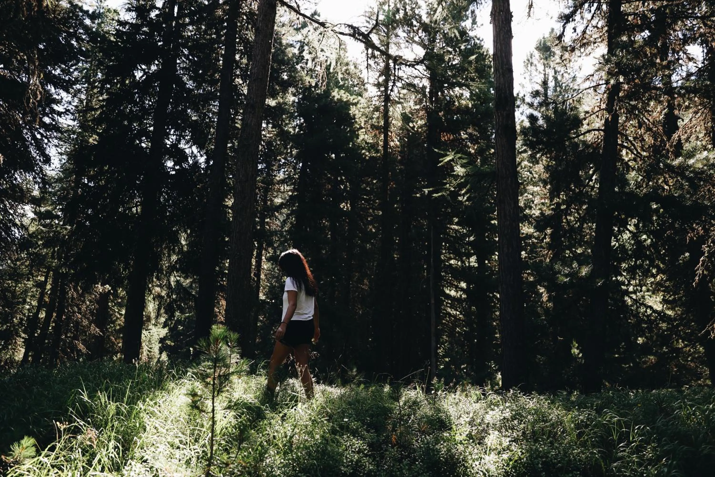 Hiking in Hauser Hotel St. Moritz
