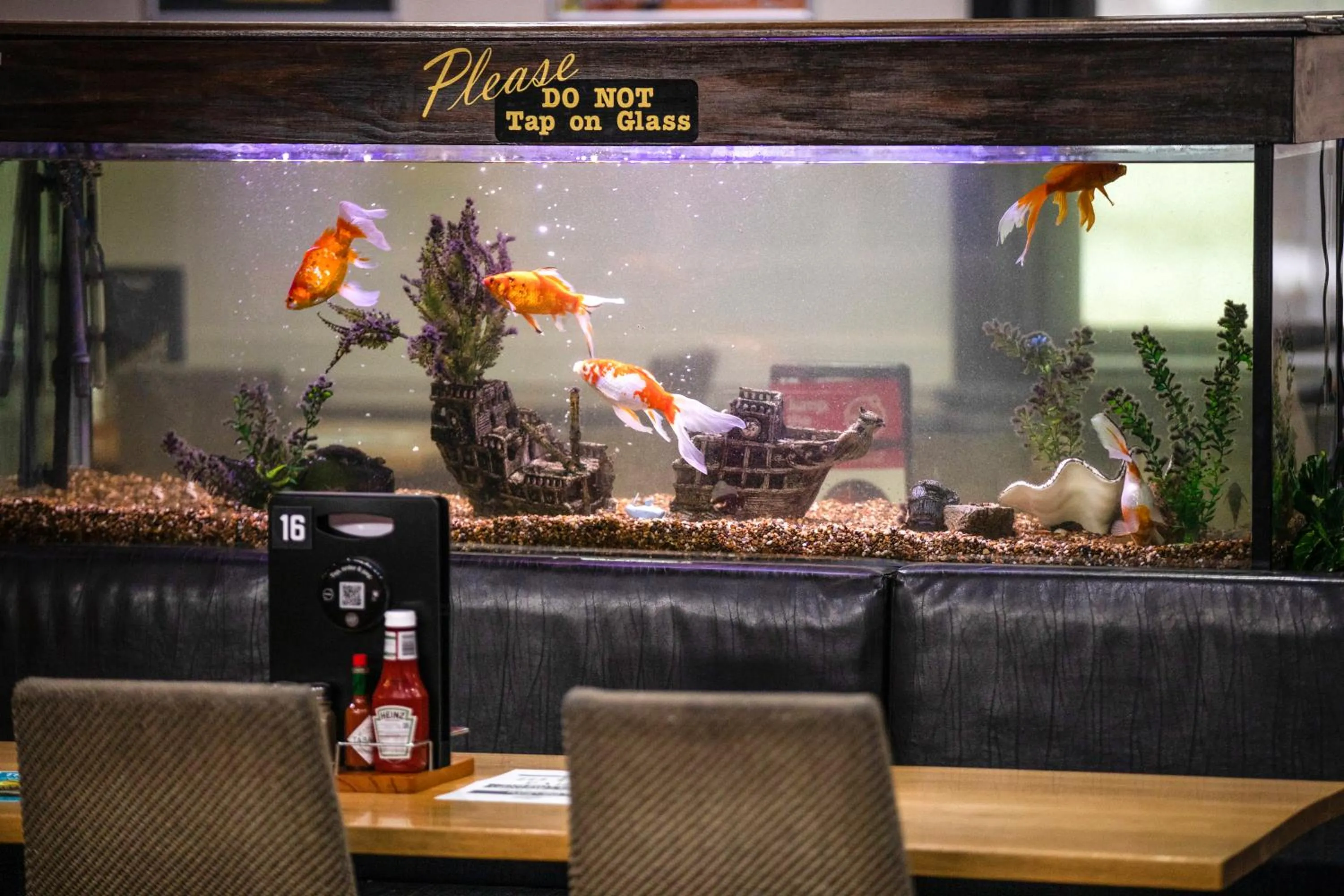 Restaurant/places to eat in Nightcap at Federal Hotel Mt Gambier