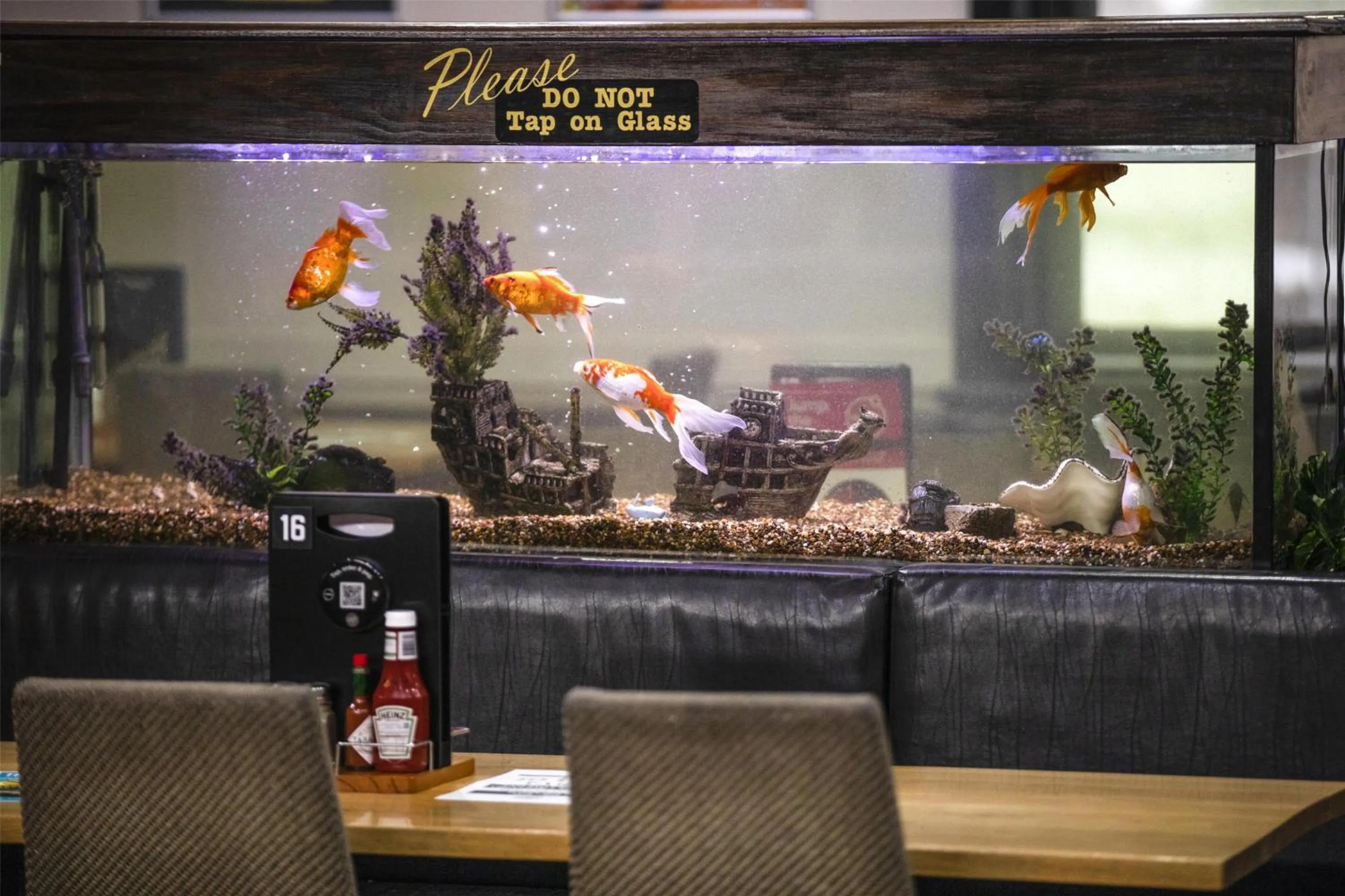 Lounge or bar in Nightcap at Federal Hotel Mt Gambier