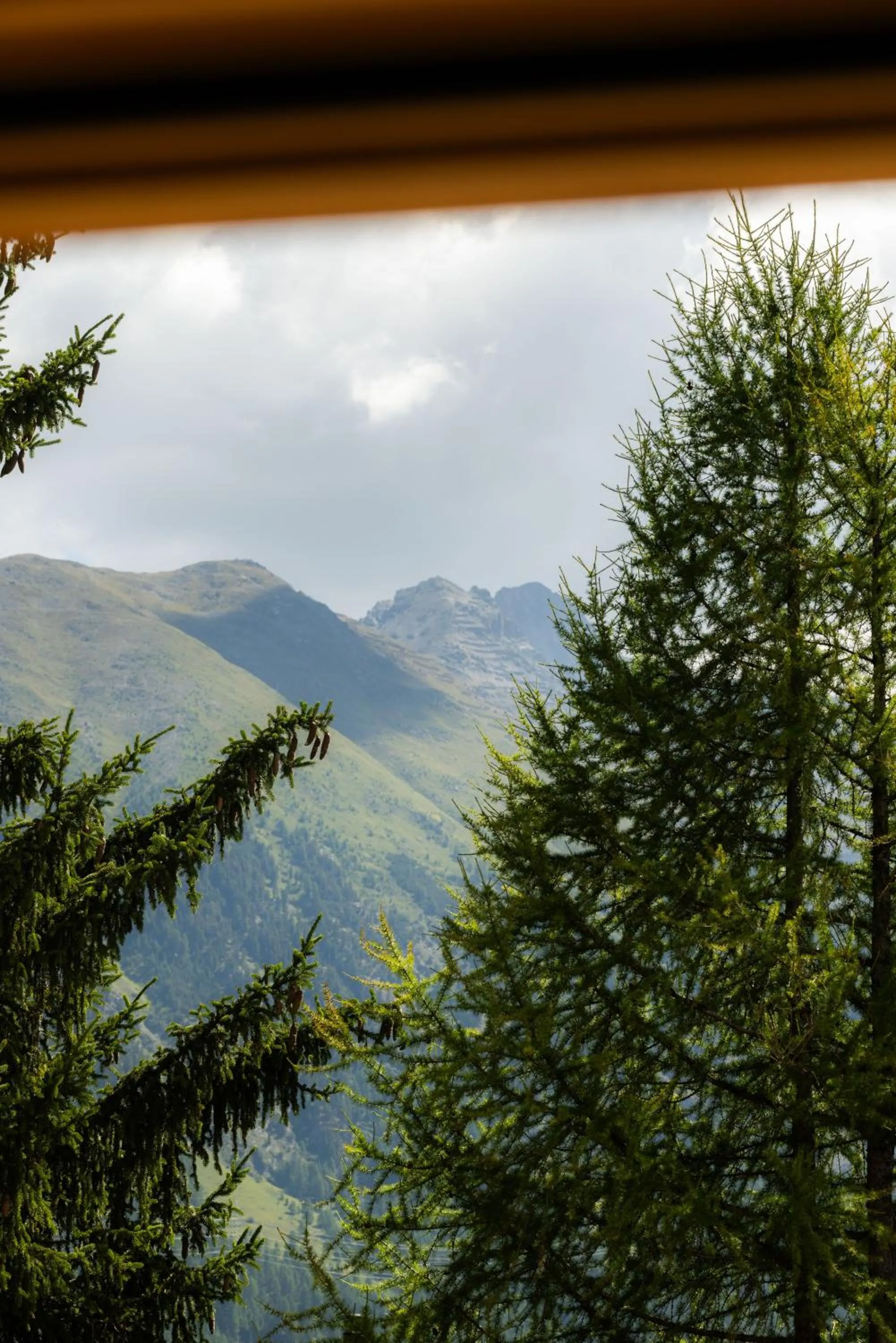 Hotel Chesa Rosatsch - Home of Food