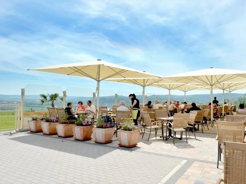 Balcony/Terrace in Panorama Hotel am Frankenstein