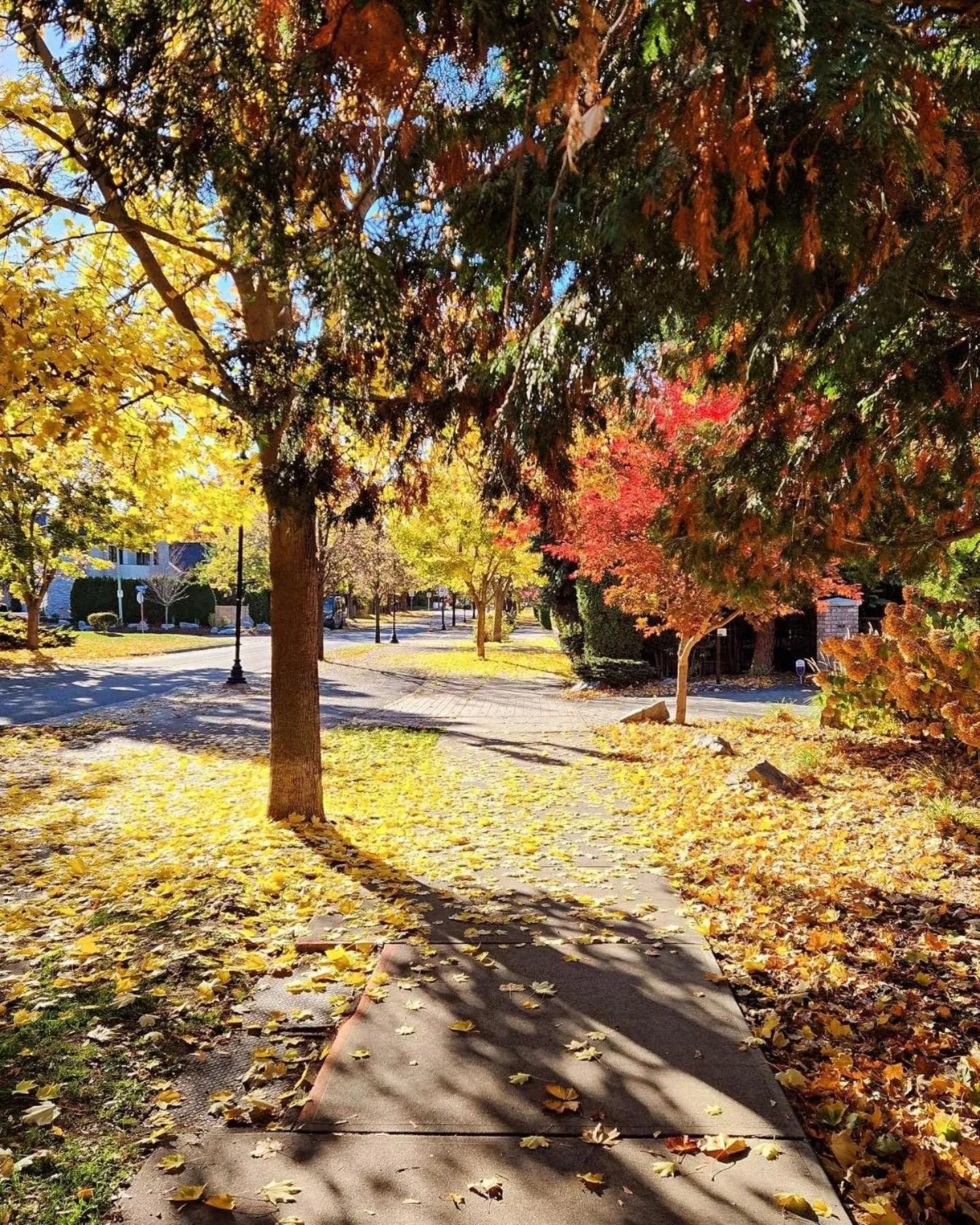 Day in Stirling House