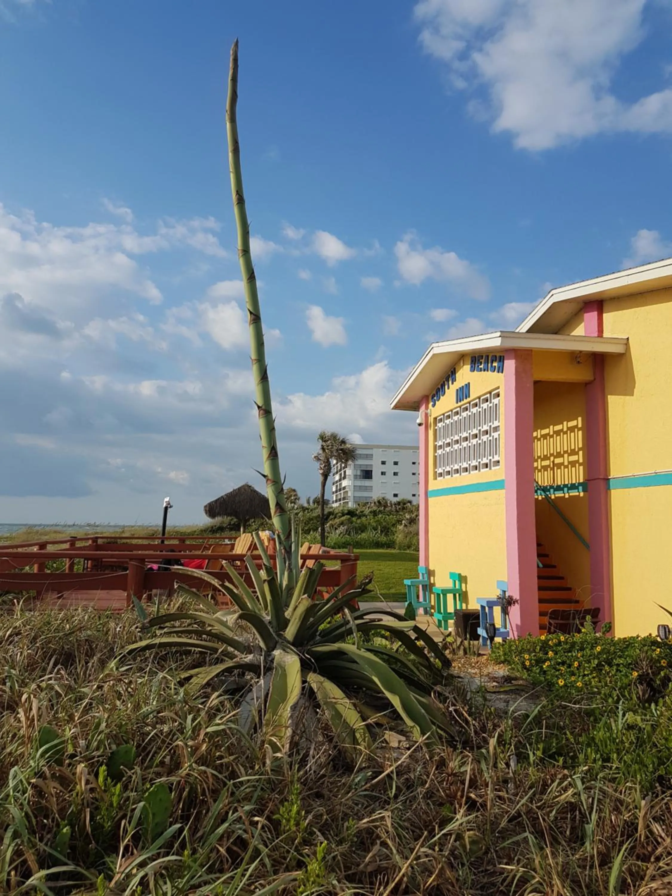 Patio in South Beach Inn - Cocoa Beach